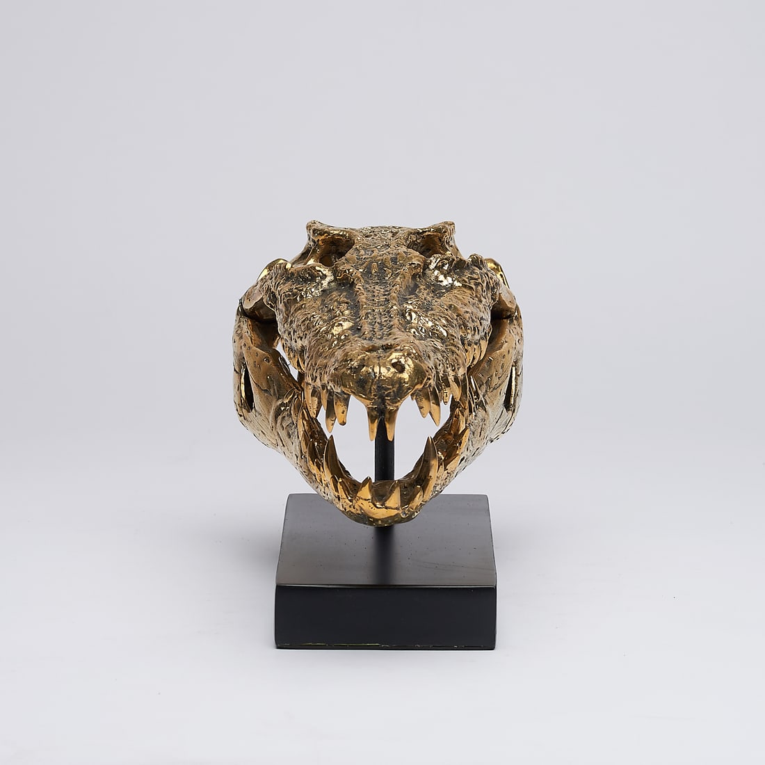 Fine bronze statue of a crocodile skull - 5