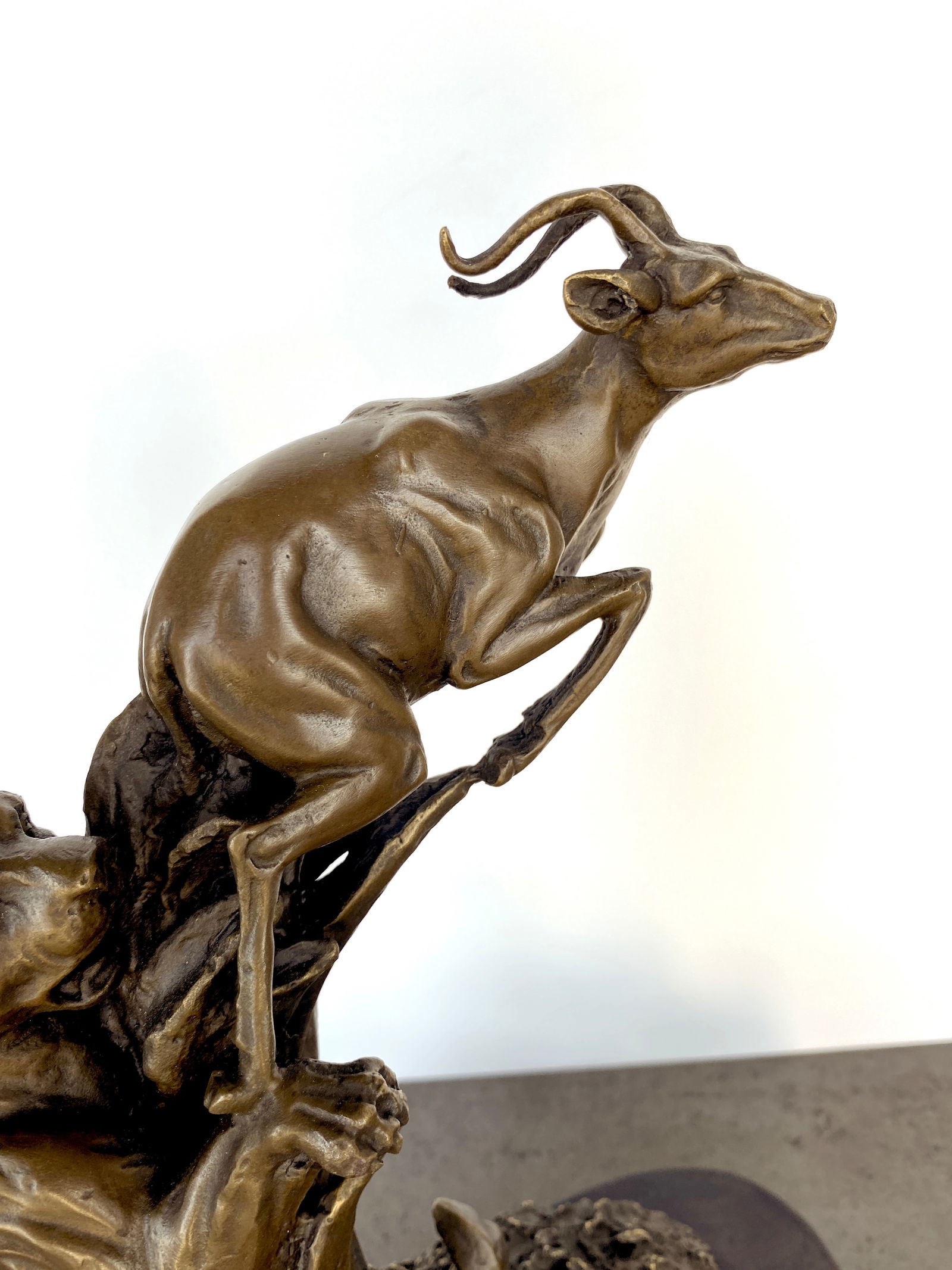 sign. Bronze Lioness hunting an antelope - 3
