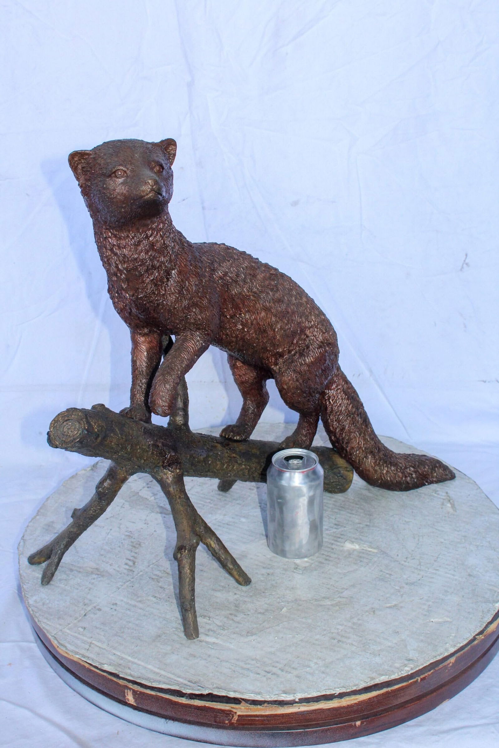 Bronze Statue of a Mongoose Climbing a Tree Branch 24" x 12" x 20"H - 6