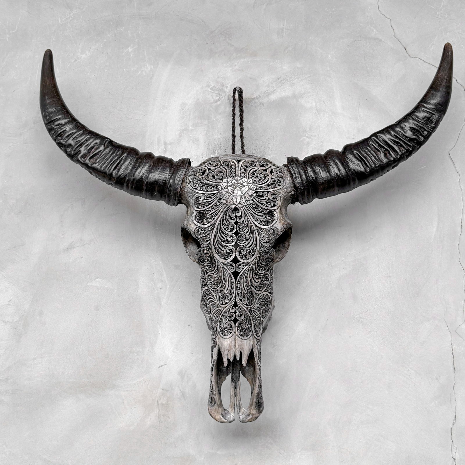 Grey water buffalo skull - Lotus motif - 10