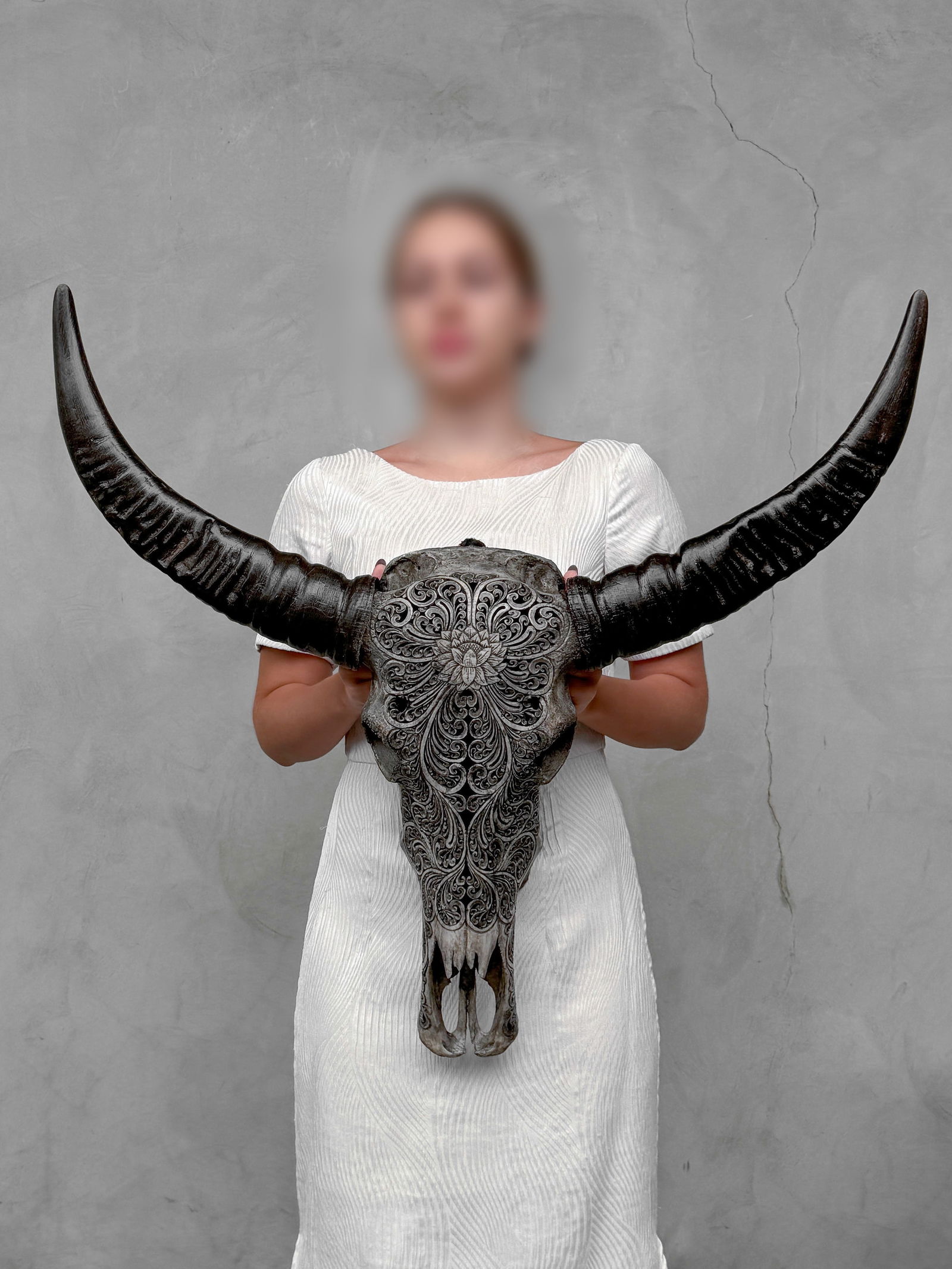 Grey water buffalo skull - Lotus motif - 2