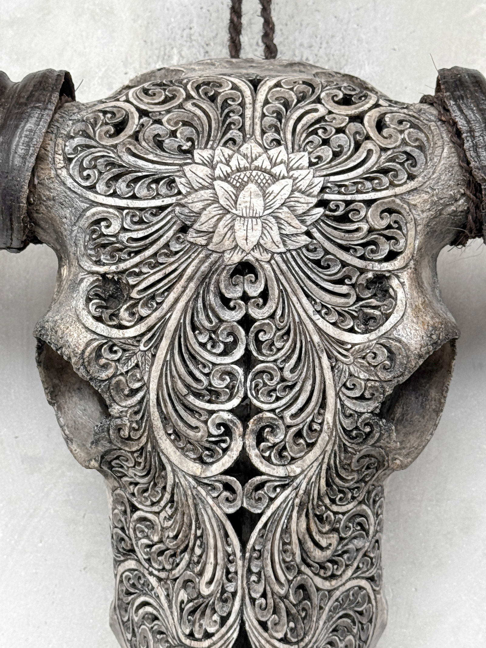 Grey water buffalo skull - Lotus motif - 4