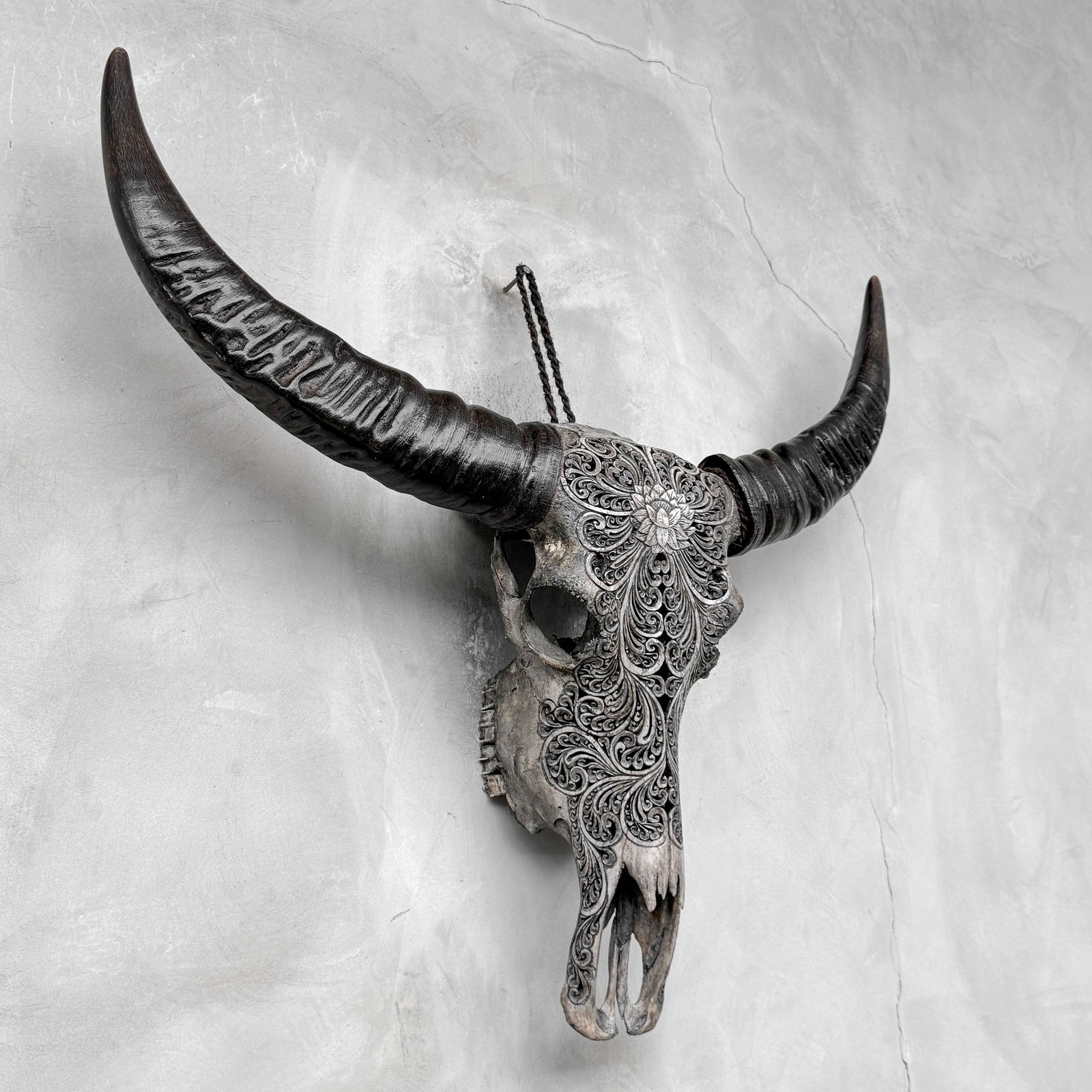 Grey water buffalo skull - Lotus motif - 6