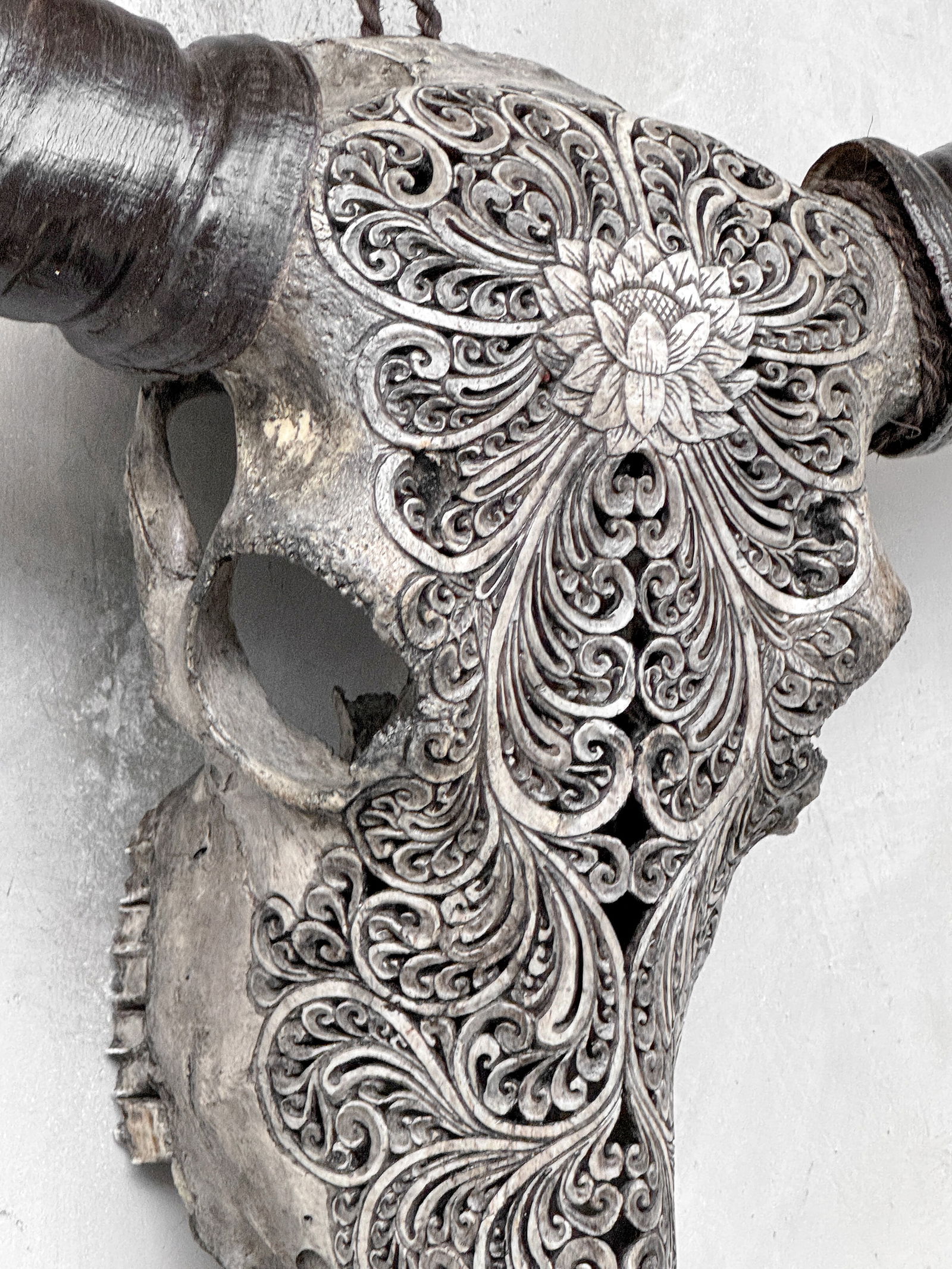 Grey water buffalo skull - Lotus motif - 7
