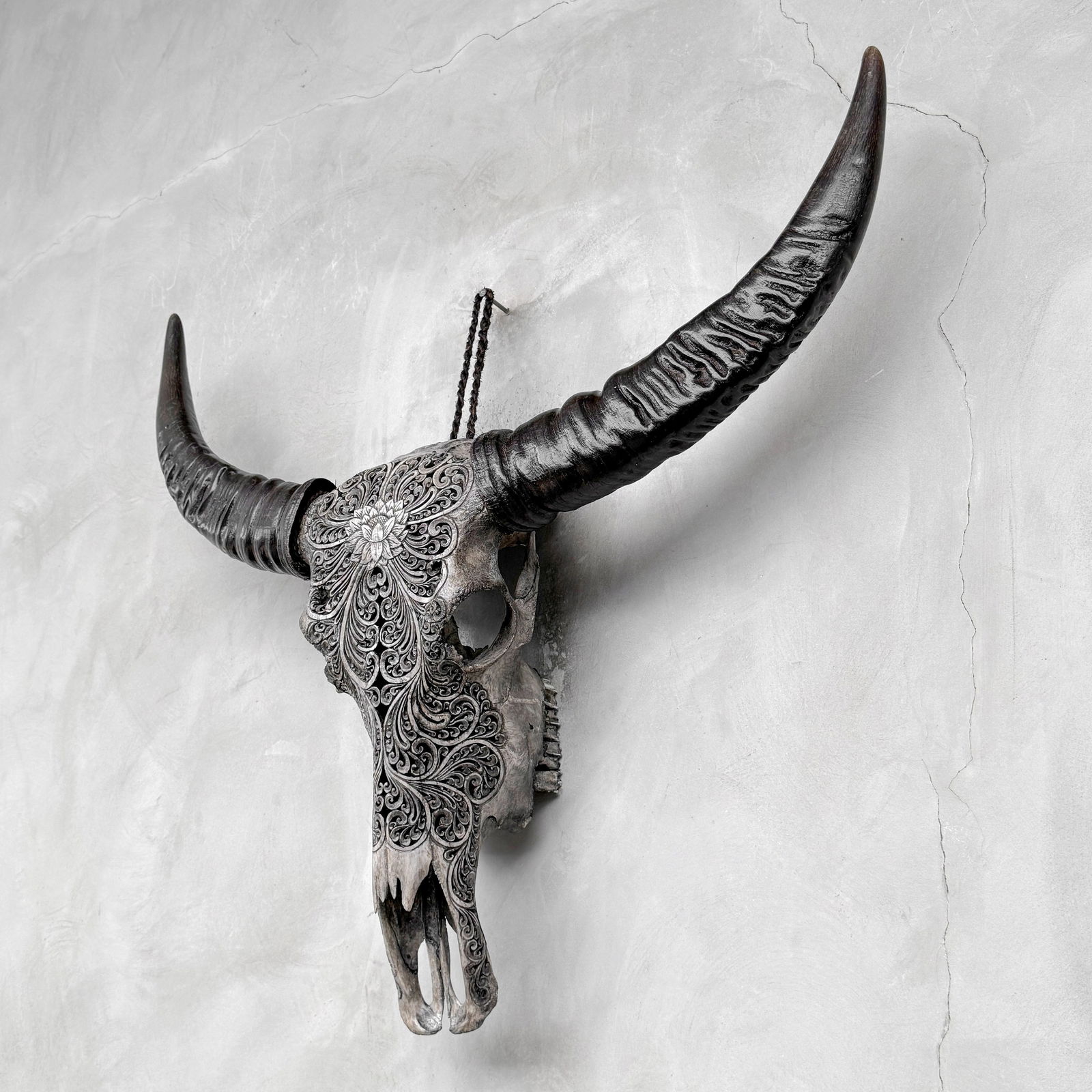 Grey water buffalo skull - Lotus motif - 8