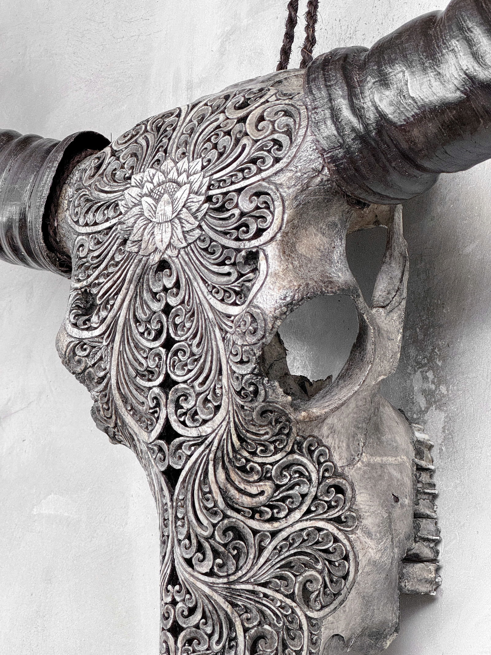 Grey water buffalo skull - Lotus motif - 9