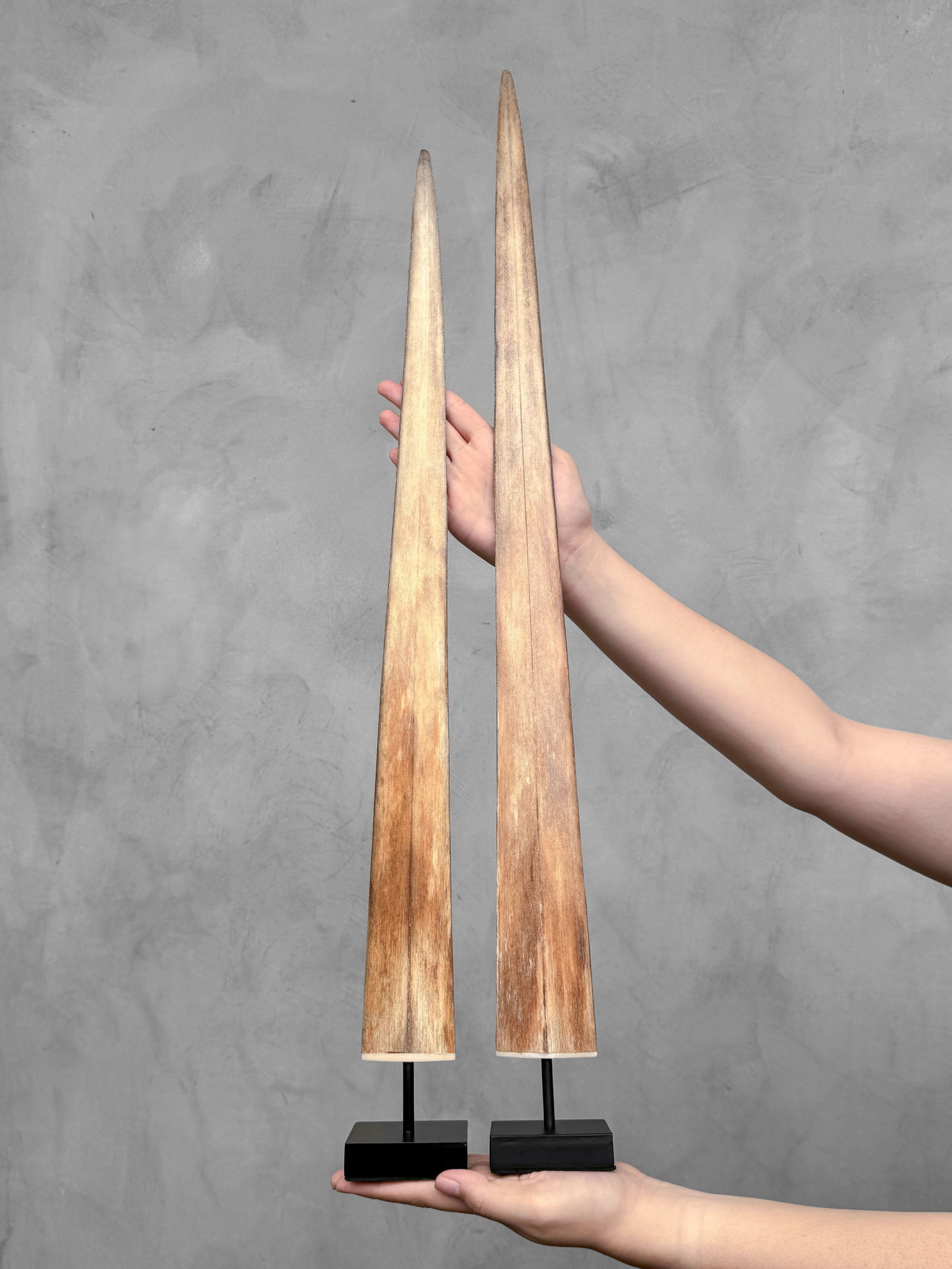 Pair of swordfish tusks with custom stands (1 of 10)