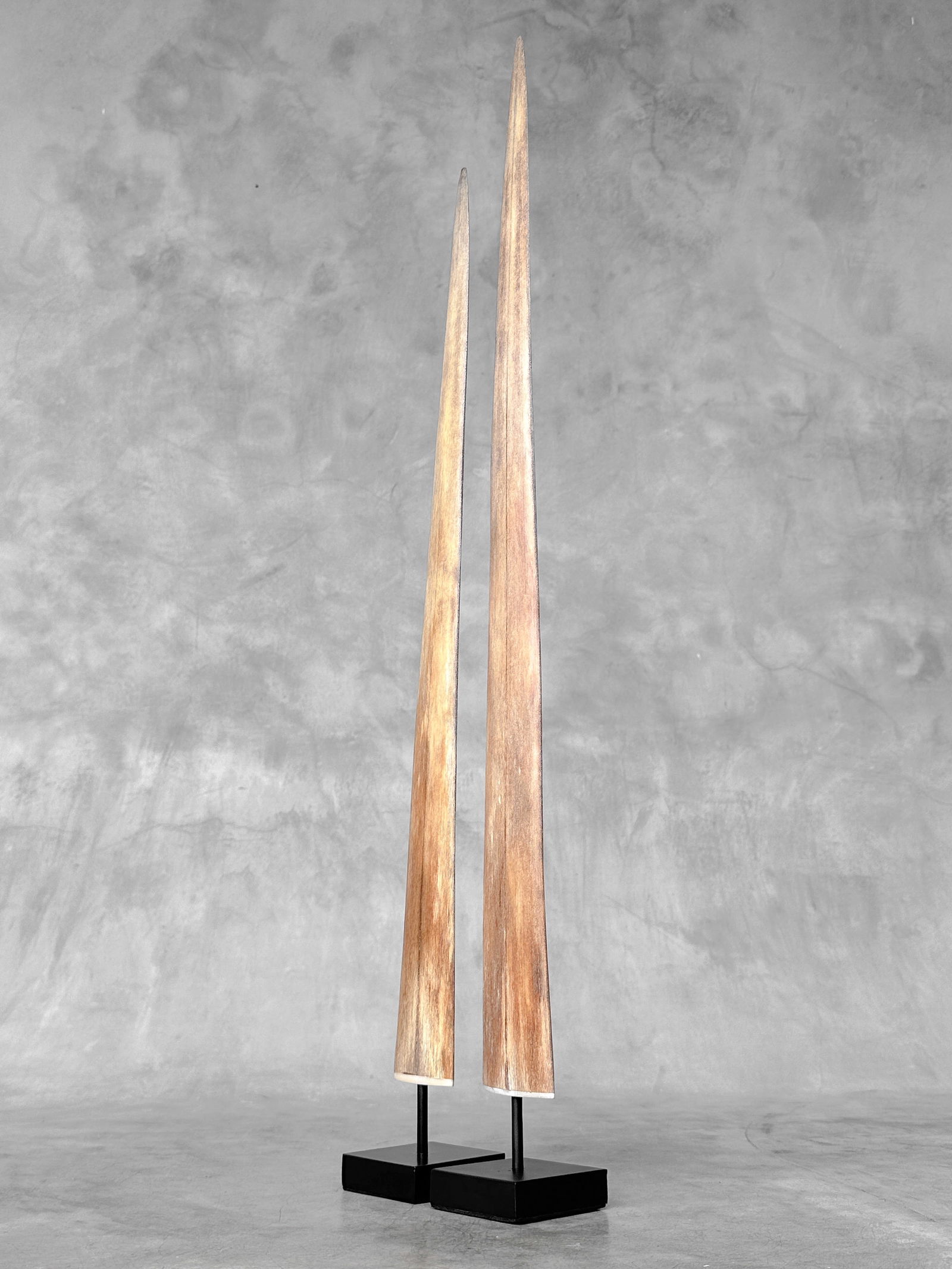 Pair of swordfish tusks with custom stands - 3