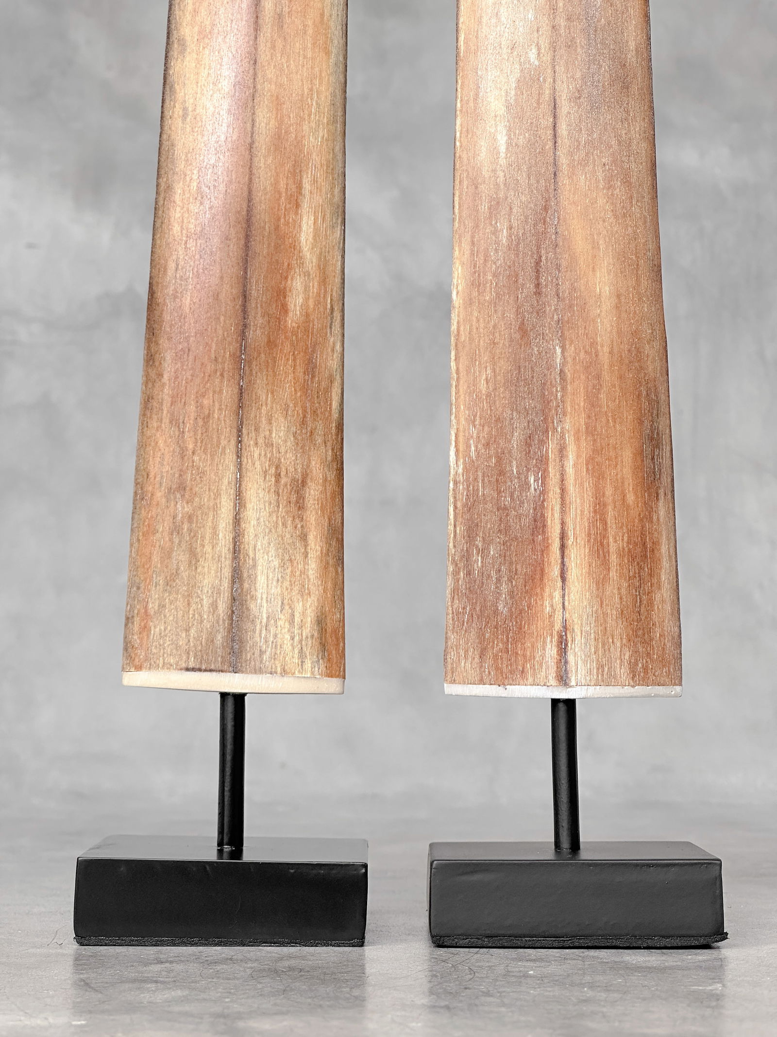Pair of swordfish tusks with custom stands - 4