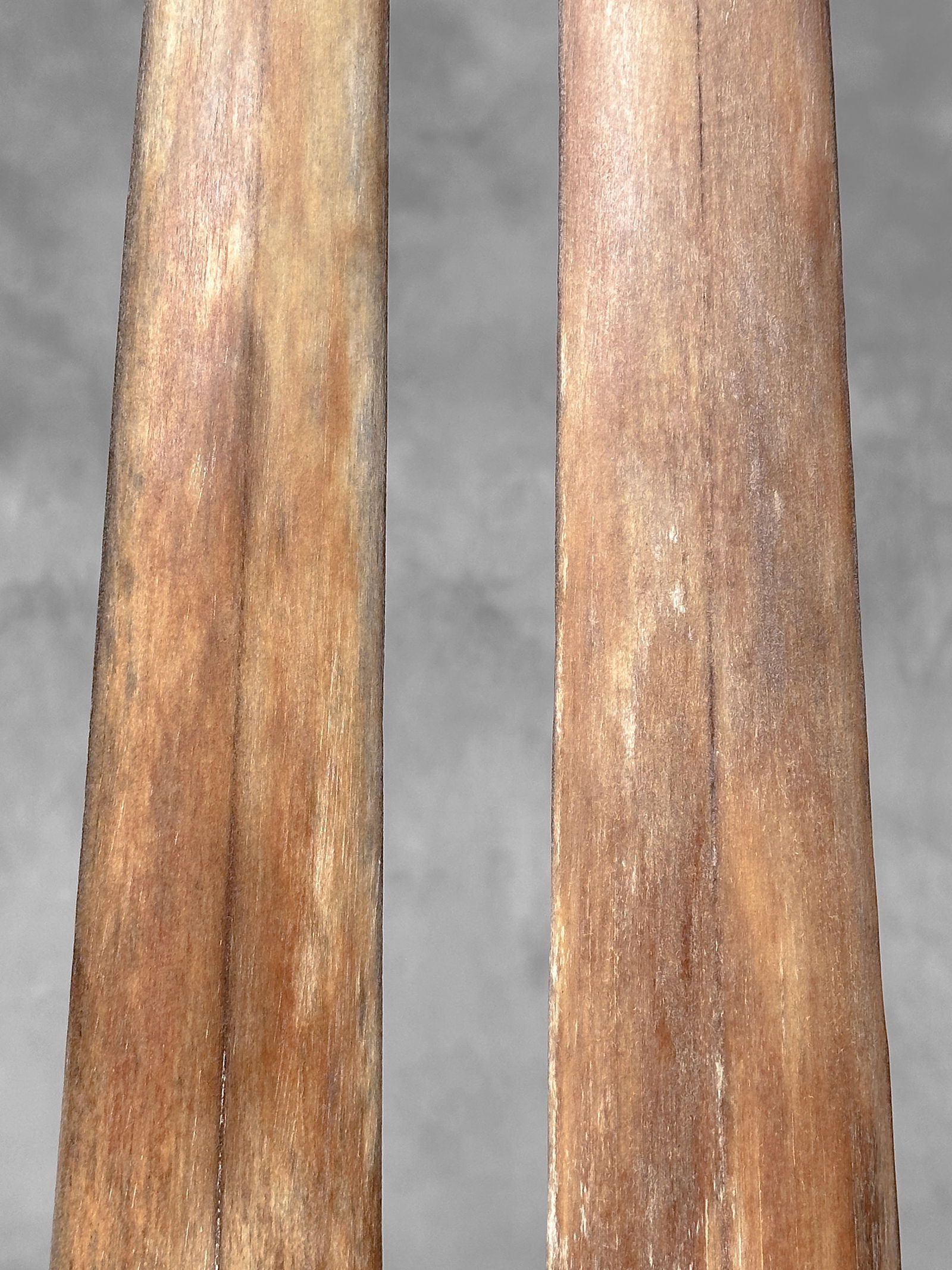 Pair of swordfish tusks with custom stands - 5