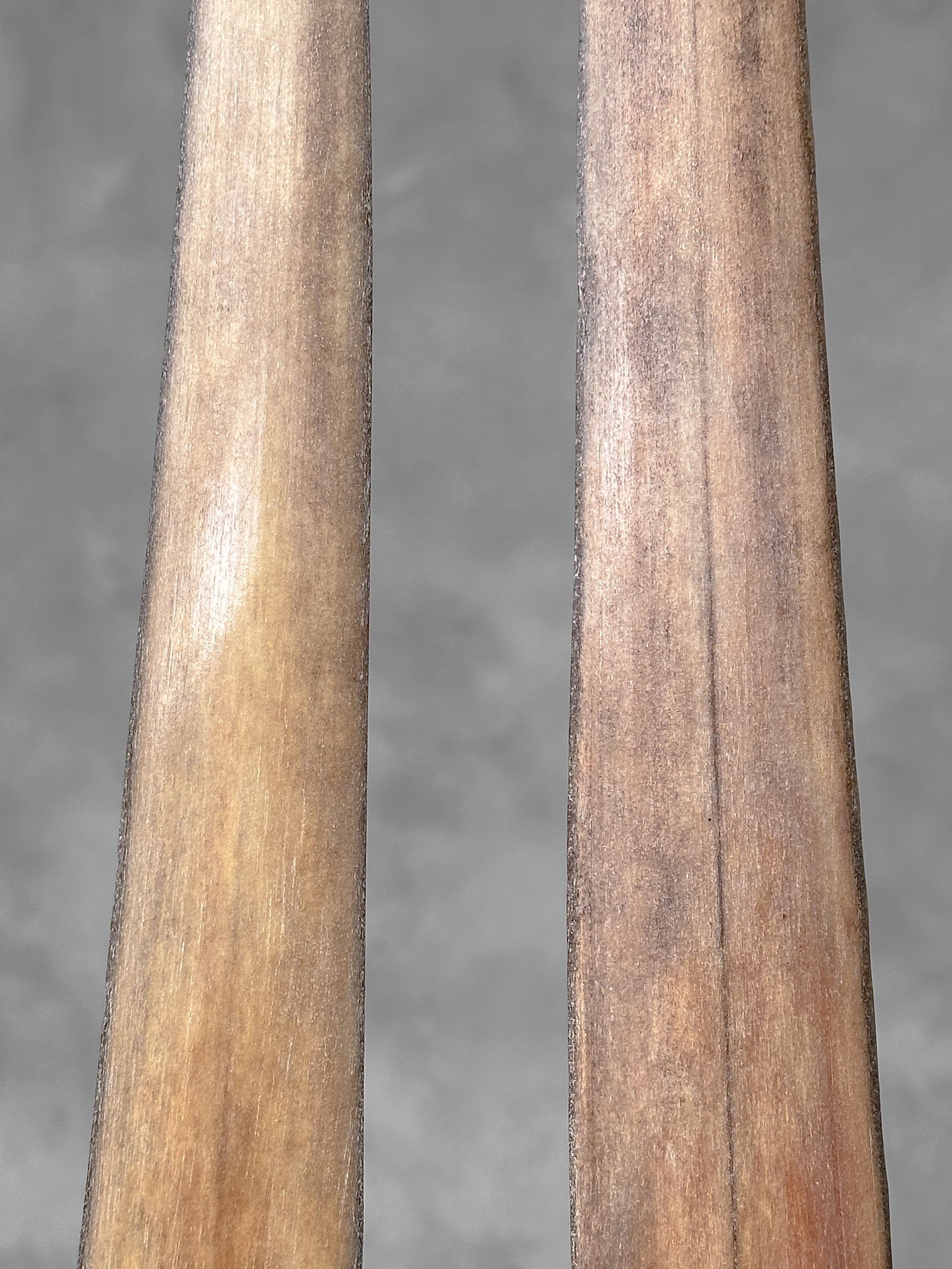 Pair of swordfish tusks with custom stands - 7