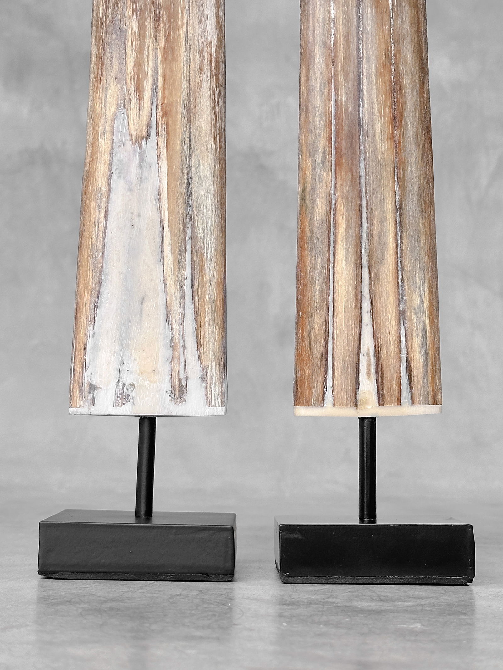 Pair of swordfish tusks with custom stands - 9