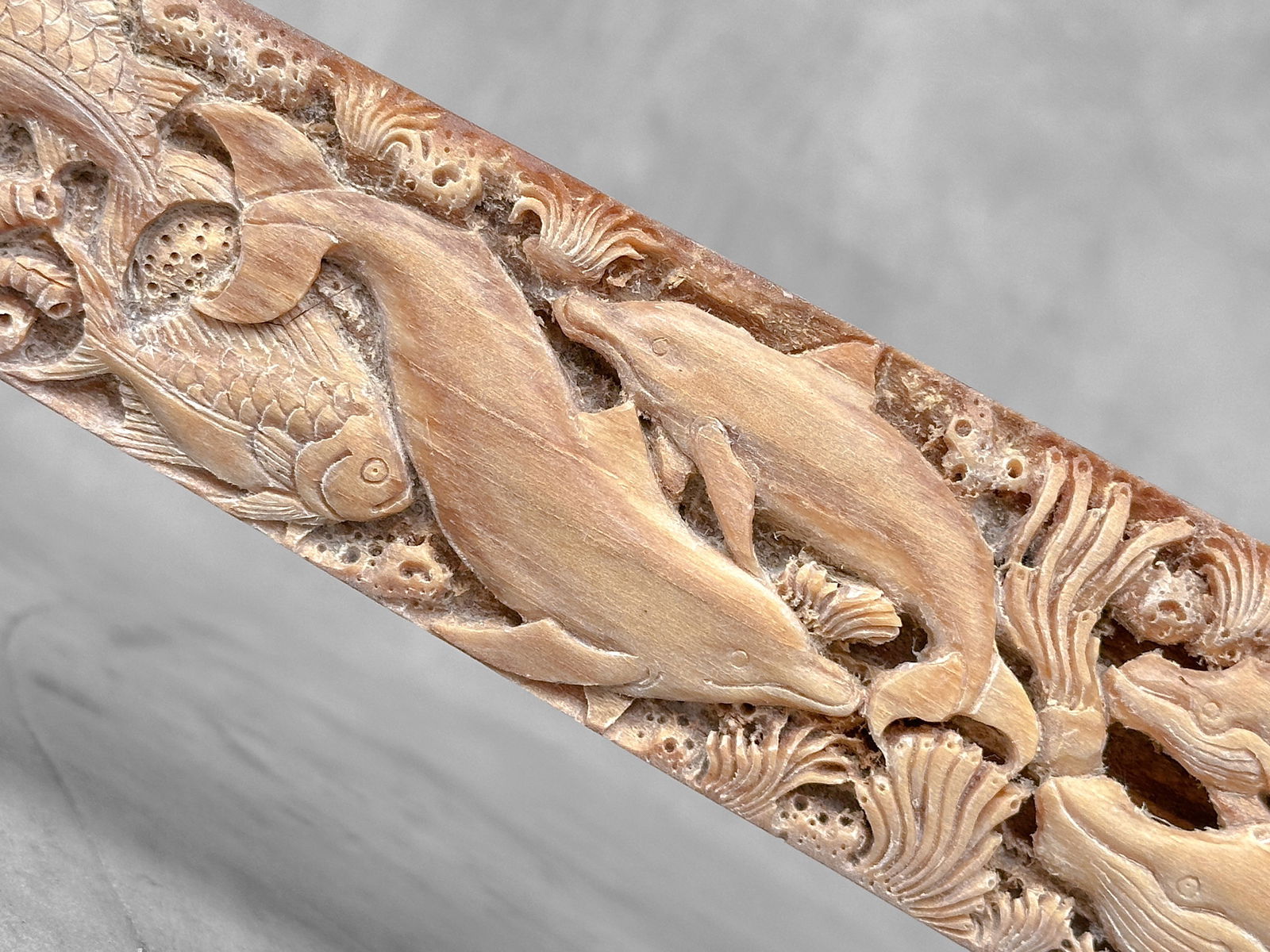 Wonderful engraved Swordfish rostrum - Marine motif - 4