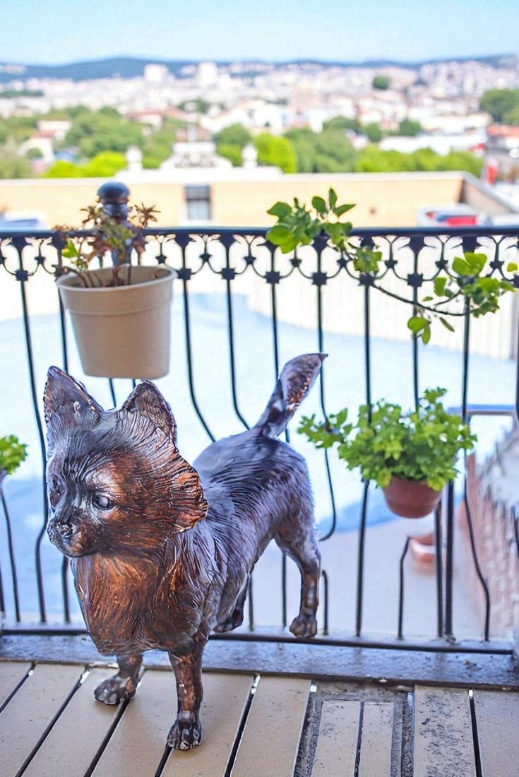 Pomeranian Dog Bronze Statue in a Graceful Standing Pose 18" x 6" x 14"H - 2