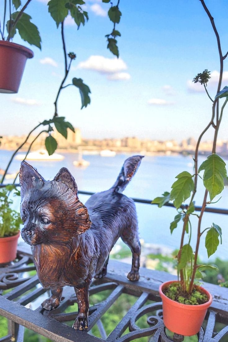 Pomeranian Dog Bronze Statue in a Graceful Standing Pose 18" x 6" x 14"H - 4