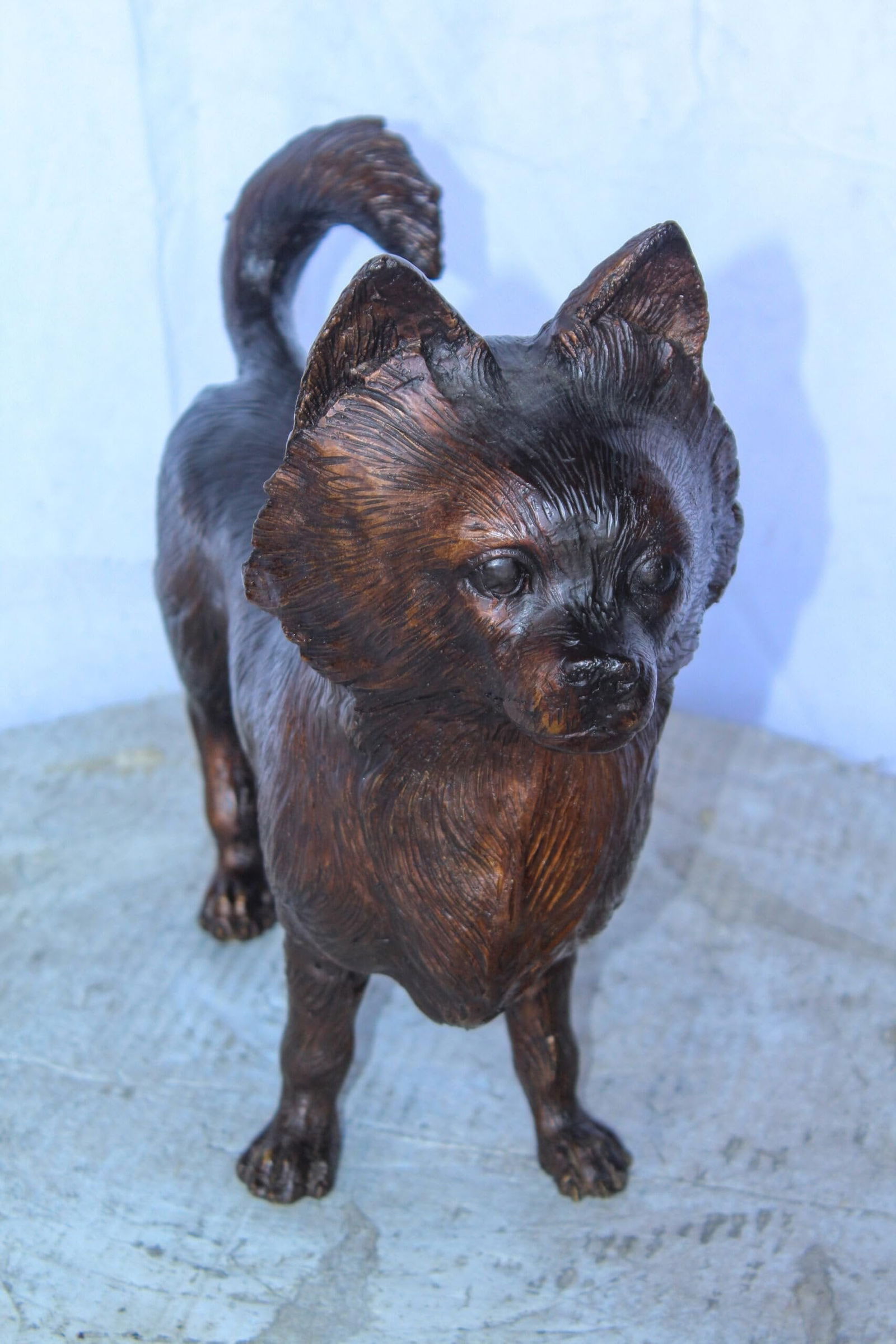Pomeranian Dog Bronze Statue in a Graceful Standing Pose 18" x 6" x 14"H - 7