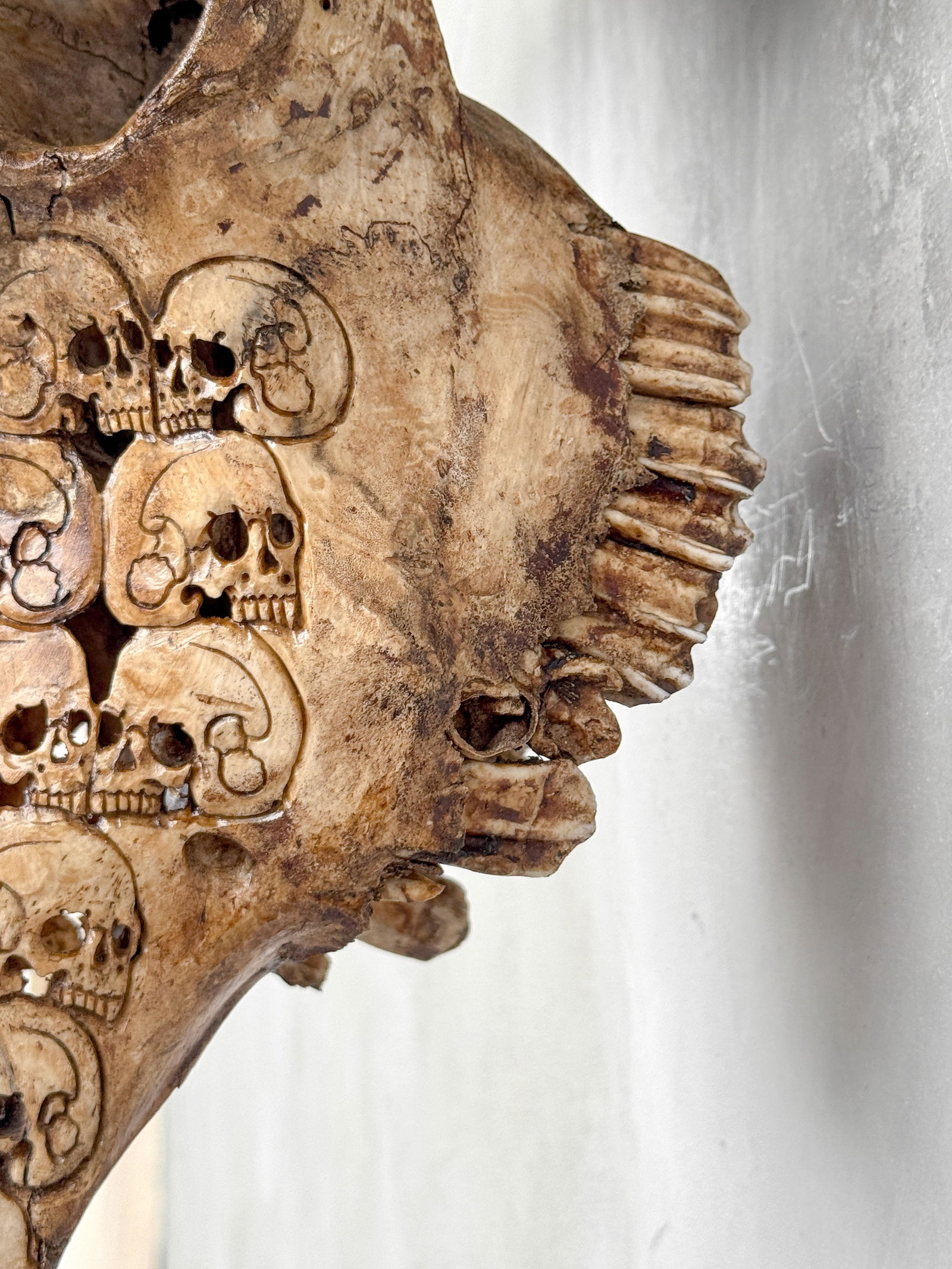 Stunning carved brown bull's skull - Human skulls biker motif - 10