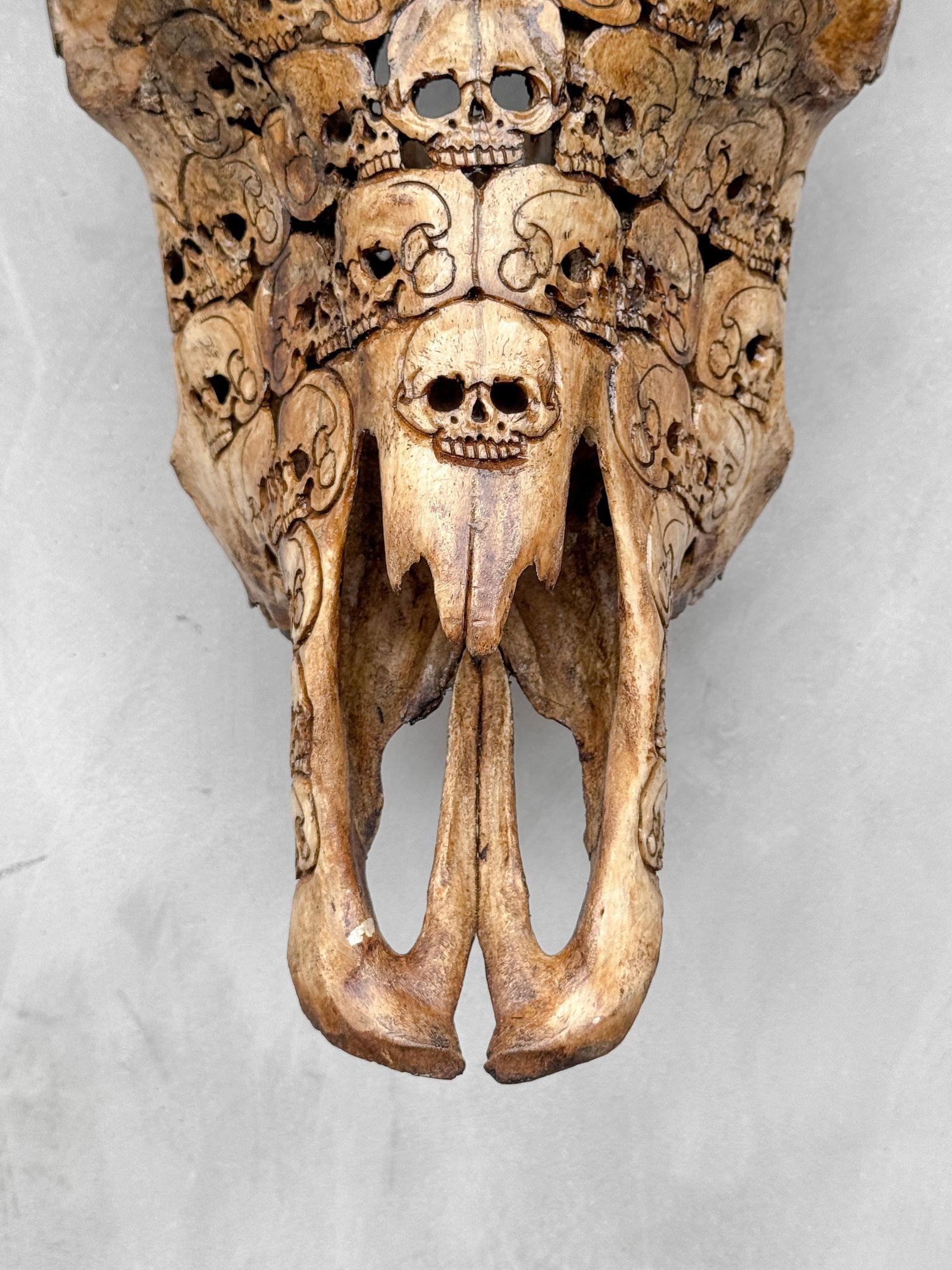 Stunning carved brown bull's skull - Human skulls biker motif - 5