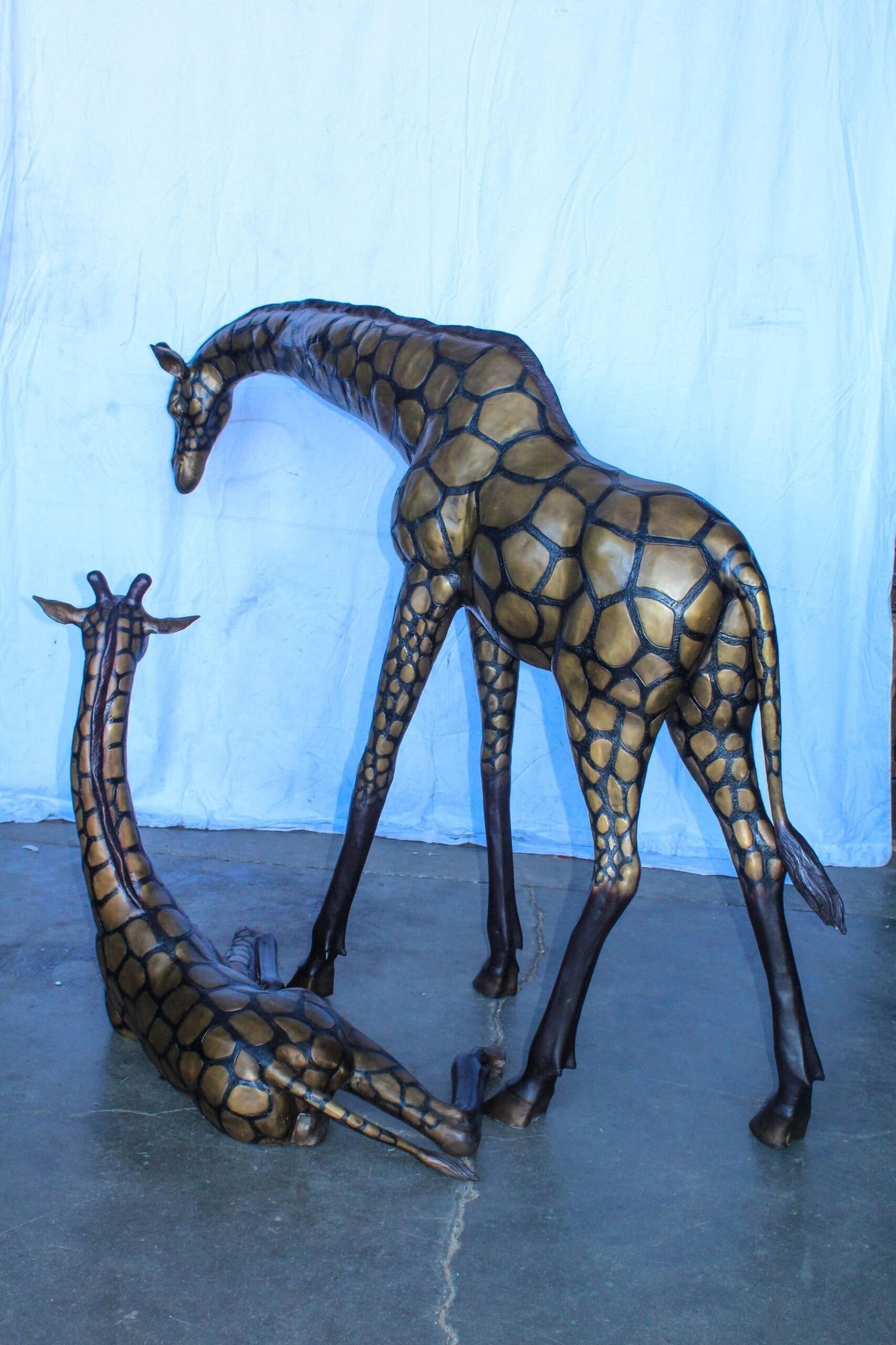 Life Size Bronze Giraffes Statues, One Laying, One Standing 77" x 21" x 58"H - 10