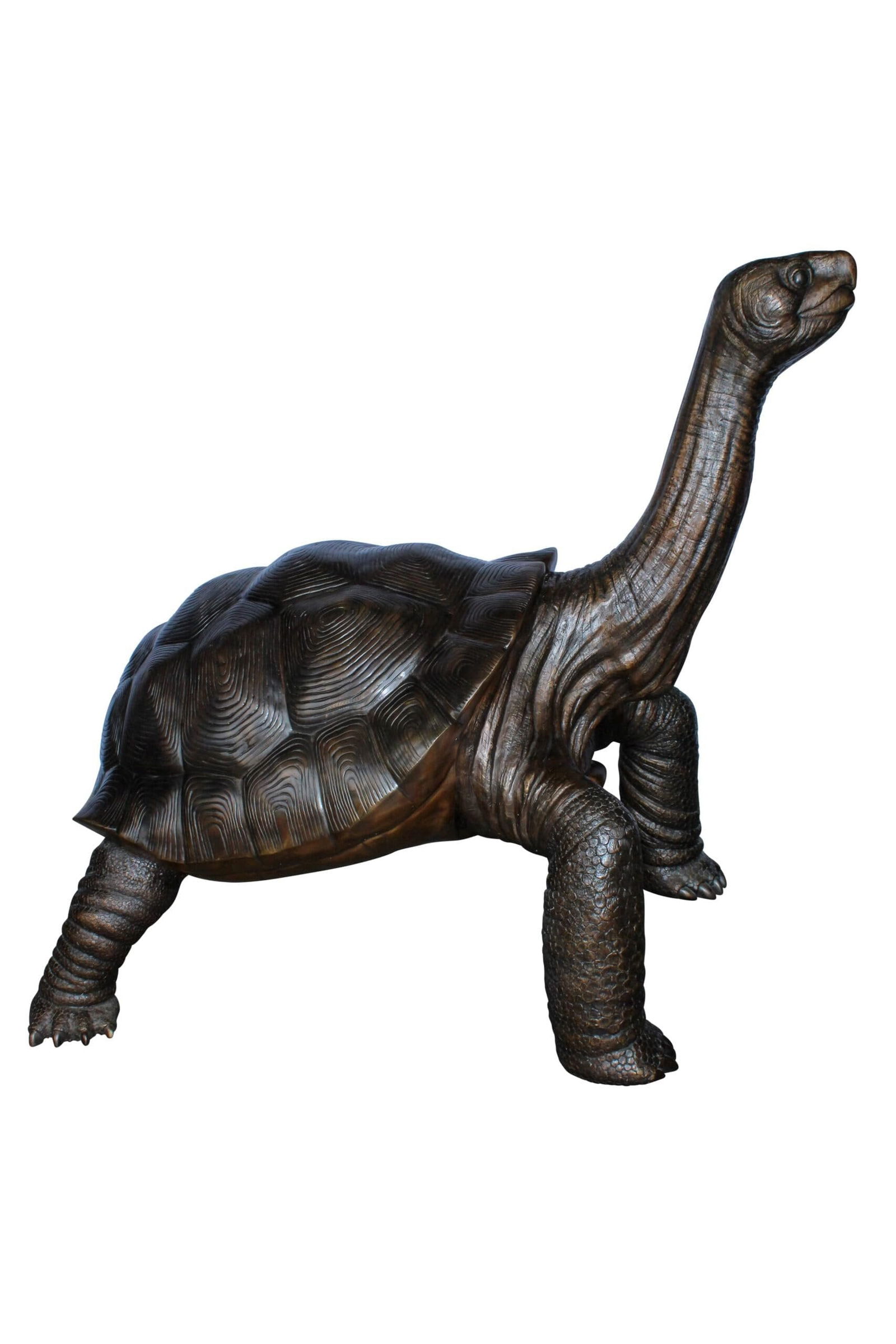 Giant Bronze Tortoise Statue with Detailed Textured Shell 66" x 41" x 59"H: Title:Giant Bronze Tortoise Statue with Detailed Textured Shell 66" x 41" x 59"H Description:This giant bronze tortoise statue makes a bold statement in any garden or outdoor space. Expertly crafted w