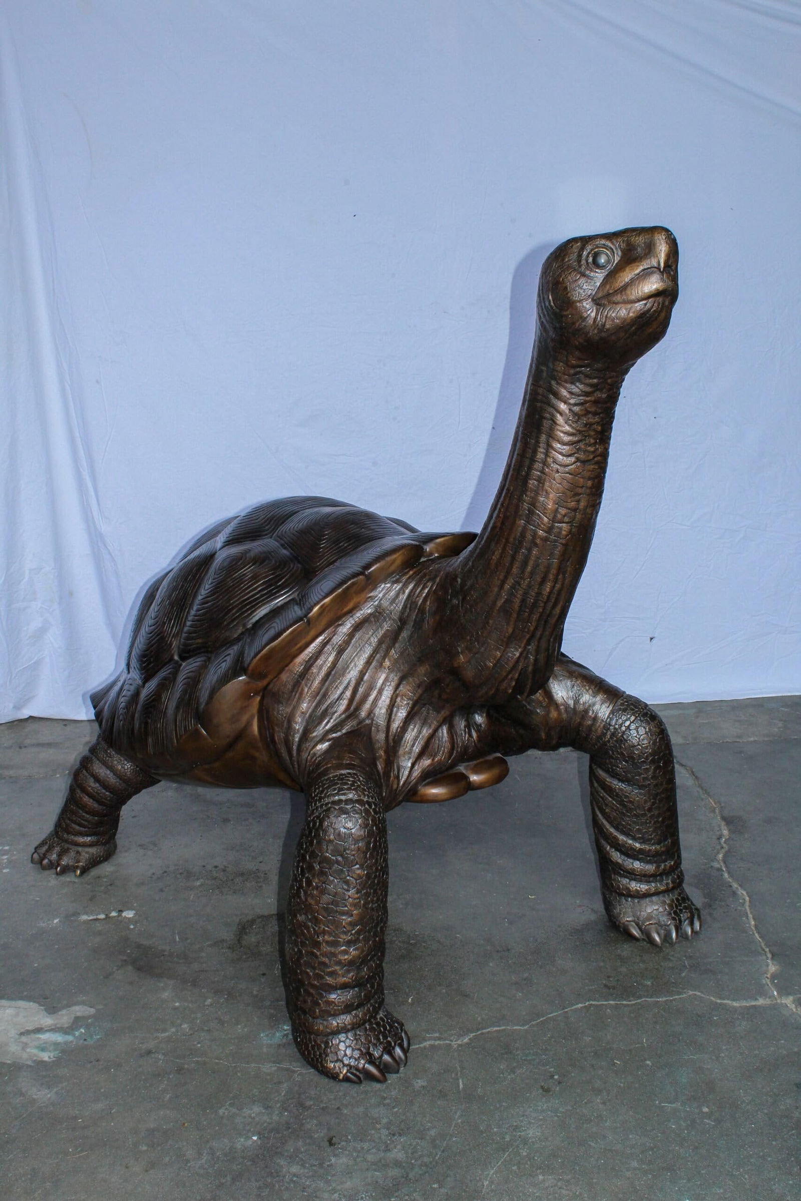 Giant Bronze Tortoise Statue with Detailed Textured Shell 66" x 41" x 59"H - 3