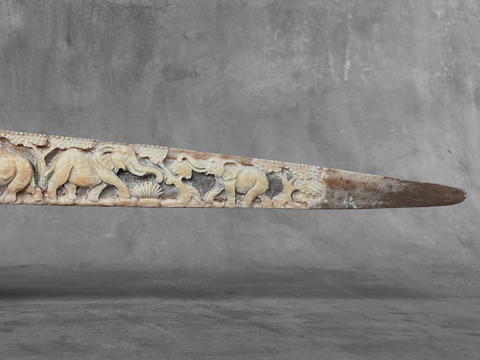 A stunning carved swordfish rostrum - Parade of Savannah elephants - 10