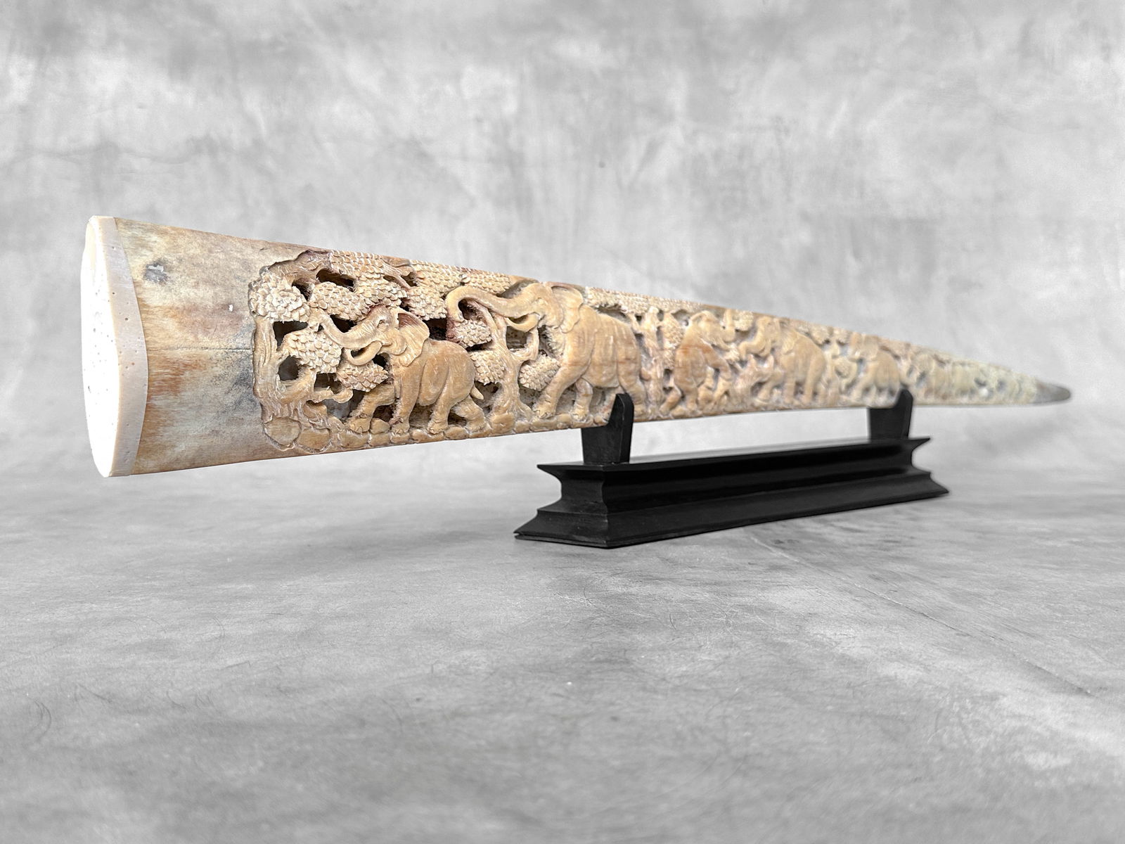 A stunning carved swordfish rostrum - Parade of Savannah elephants - 5