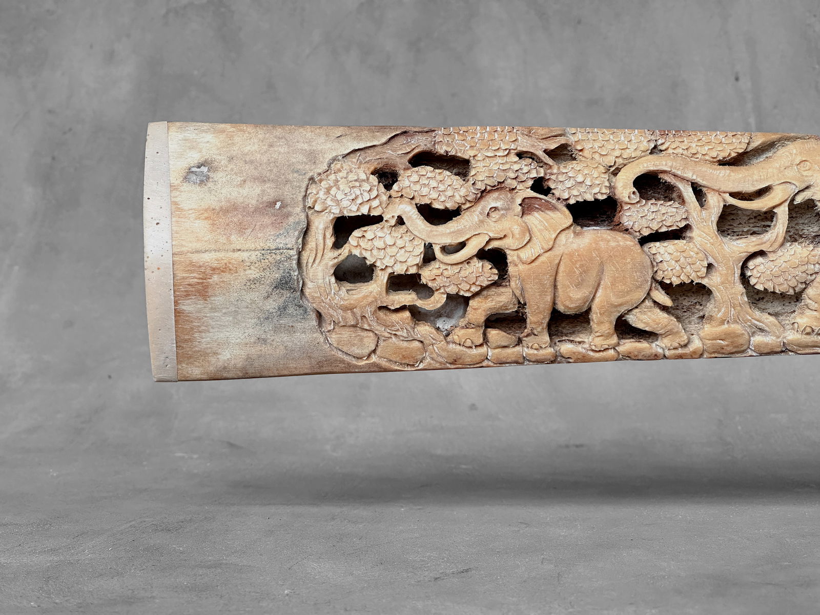 A stunning carved swordfish rostrum - Parade of Savannah elephants - 6