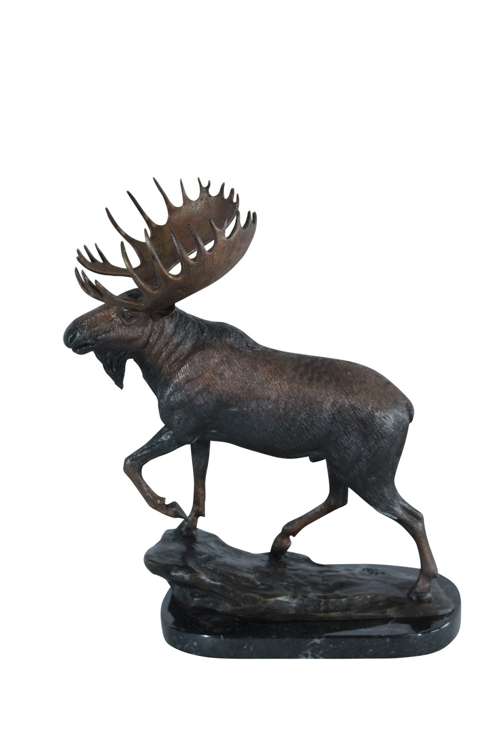 Bronze Moose Statue - Indoor/Outdoor Wildlife Sculpture,Wax Casting with Lifelike Detail, Moose: Title:Bronze Moose Statue - Indoor/Outdoor Wildlife Sculpture,Wax Casting with Lifelike Detail, Moose Walking Pose on Polished Black Marble Base for Homes, Offices & Collectors11 x 4" x