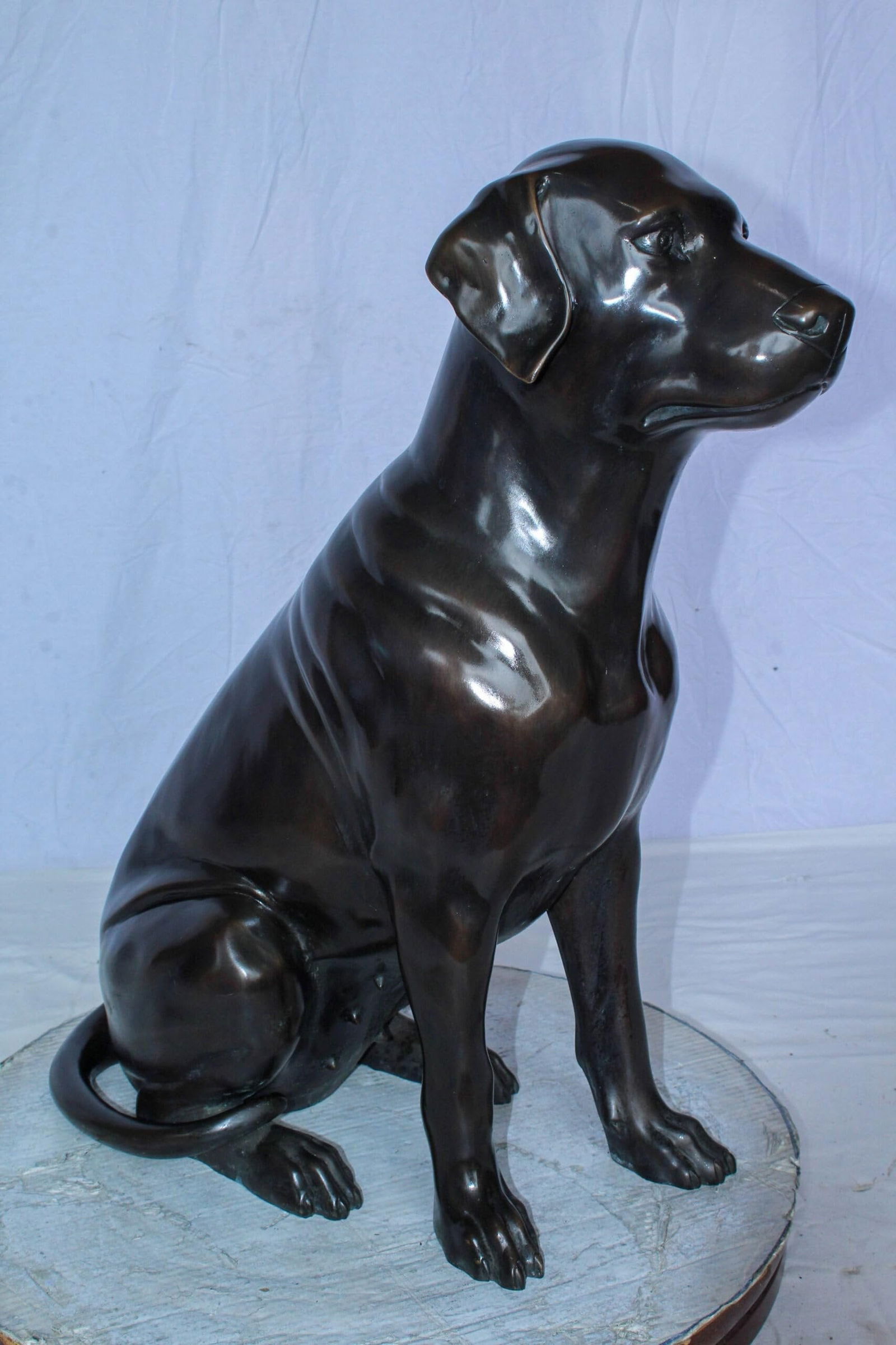 Large Bronze Chocolate Labrador Dog Statue Sitting Pose 22" x 12" x 27"H - 11