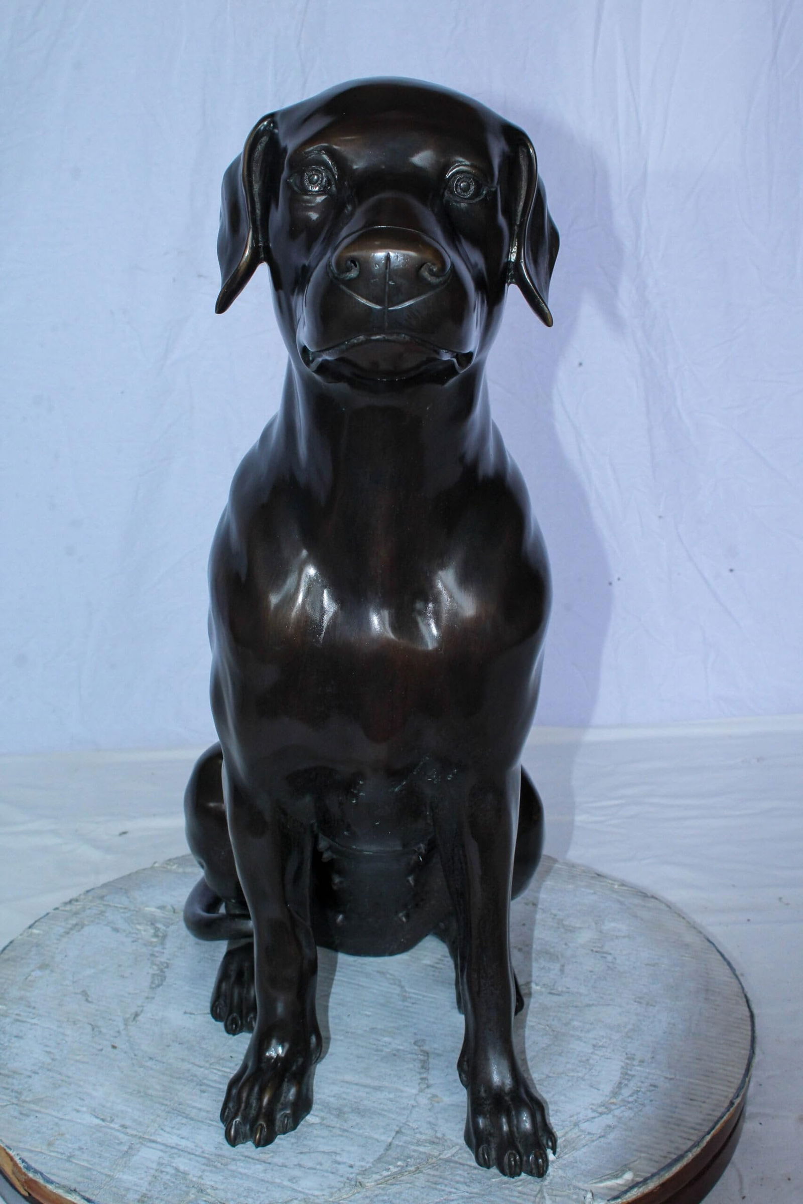 Large Bronze Chocolate Labrador Dog Statue Sitting Pose 22" x 12" x 27"H - 12