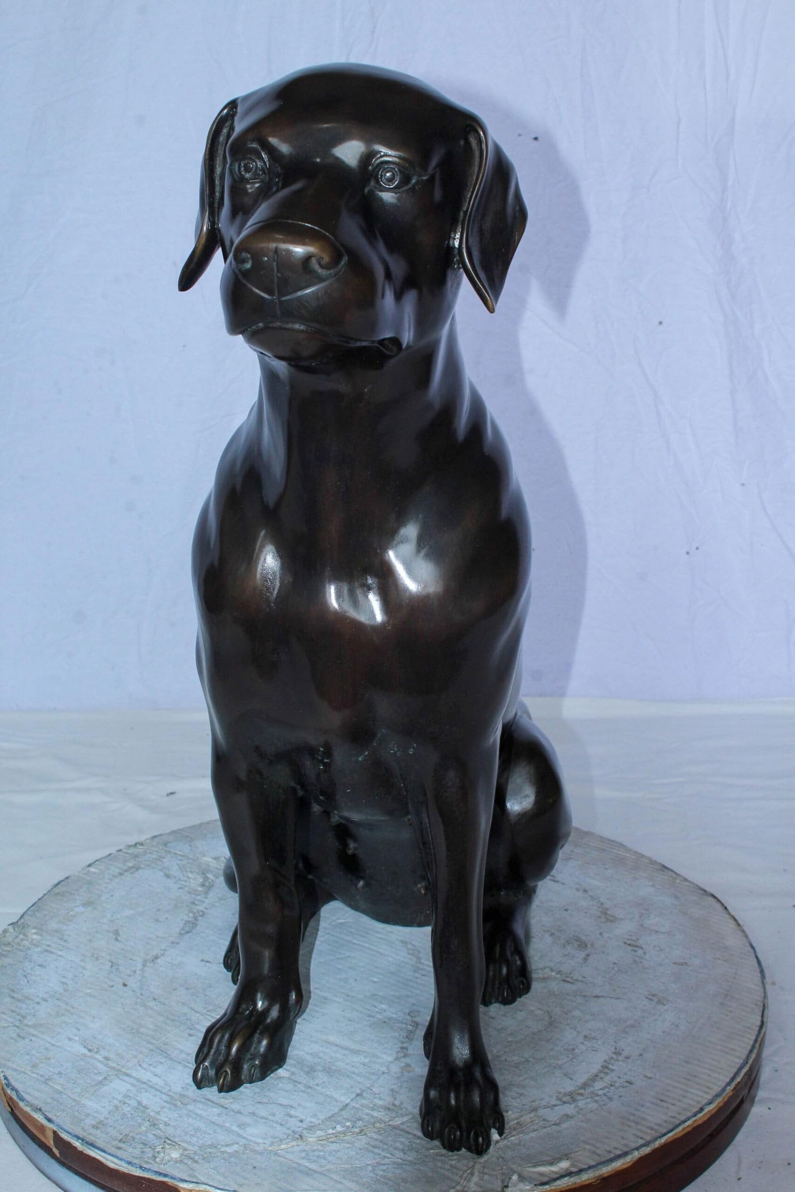 Large Bronze Chocolate Labrador Dog Statue Sitting Pose 22" x 12" x 27"H - 3