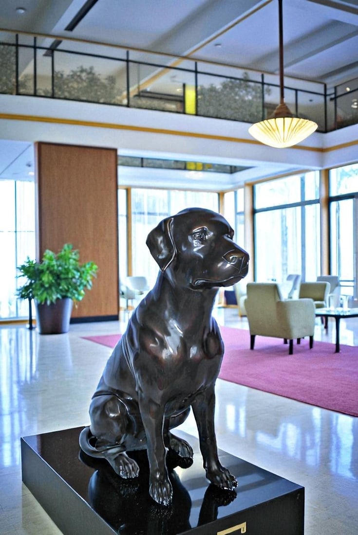 Large Bronze Chocolate Labrador Dog Statue Sitting Pose 22" x 12" x 27"H - 4