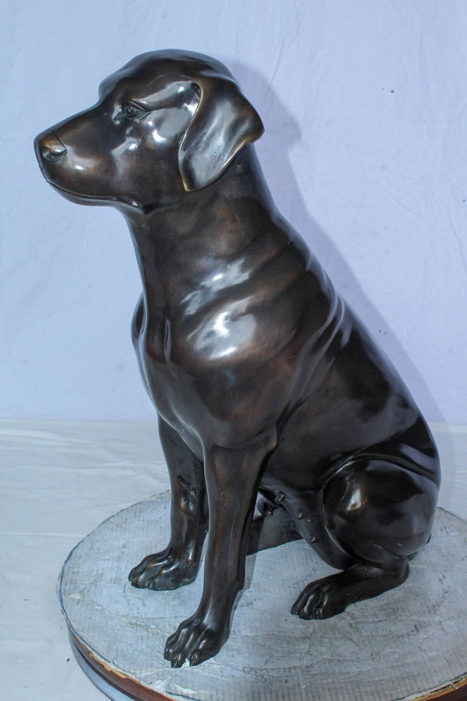 Large Bronze Chocolate Labrador Dog Statue Sitting Pose 22" x 12" x 27"H - 5