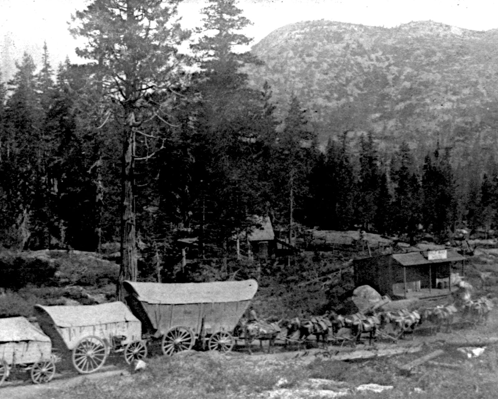 1860, GROUP OF PIUTE INDIANS: Title: 1860, GROUP OF PIUTE INDIANS Artist/Source: Lawrence & Houseworth Original Date: SEE TITLE Dimensions: 8X10 Description: || UNITED STATES SHIPPING ONLY! || This lot is a Dye Based