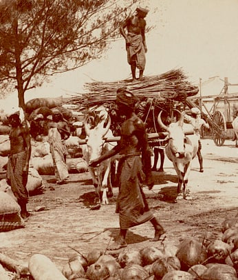 1863, PINE COTTAGE, CIVIL WAR SOLDIERS WINTER QUARTERS: Title: 1863, PINE COTTAGE, CIVIL WAR SOLDIERS WINTER QUARTERS Artist/Source: Matthew Brady Original Date: SEE TITLE Dimensions: 8X10 Description: || UNITED STATES SHIPPING ONLY! || This lot is a Dye