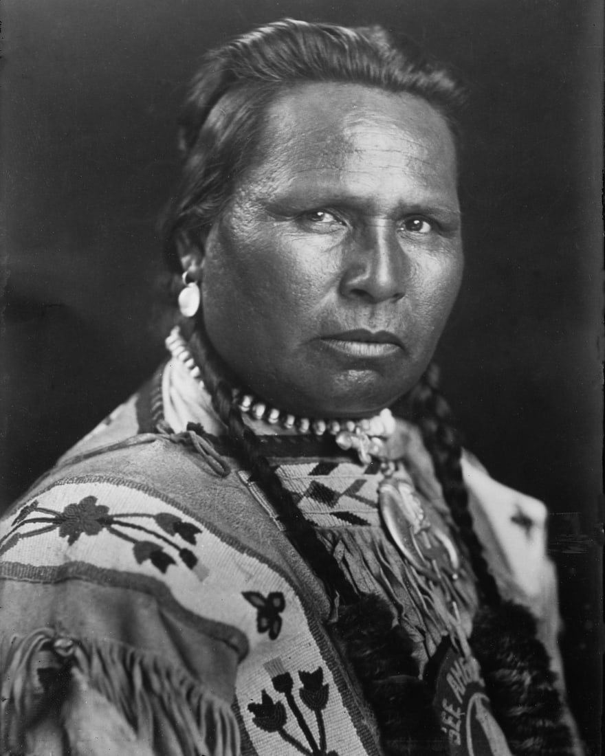 1900, CHIEF OWEN HEAVY BREAST: Title: 1900, CHIEF OWEN HEAVY BREAST Artist/Source: BAIN NEWS SERVICE Original Date: 1900 Dimensions: 10 X 8 Description: || UNITED STATES SHIPPING ONLY! || This lot is a Dye Based Photolithograph and