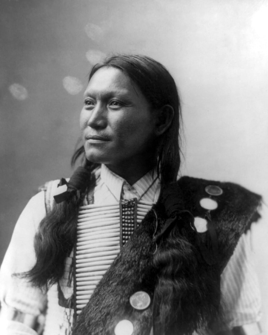 SUNFLOWER #1; BY HERMAN HEYN: Title: SUNFLOWER #1; BY HERMAN HEYN Artist/Source: HEYN, HERMAN (GERMAN, 1866-1949) Original Date: CIRCA 1899 (FOR ORIGINAL) Dimensions: 10 X 8 Description: || UNITED STATES SHIPPING ONLY! || This