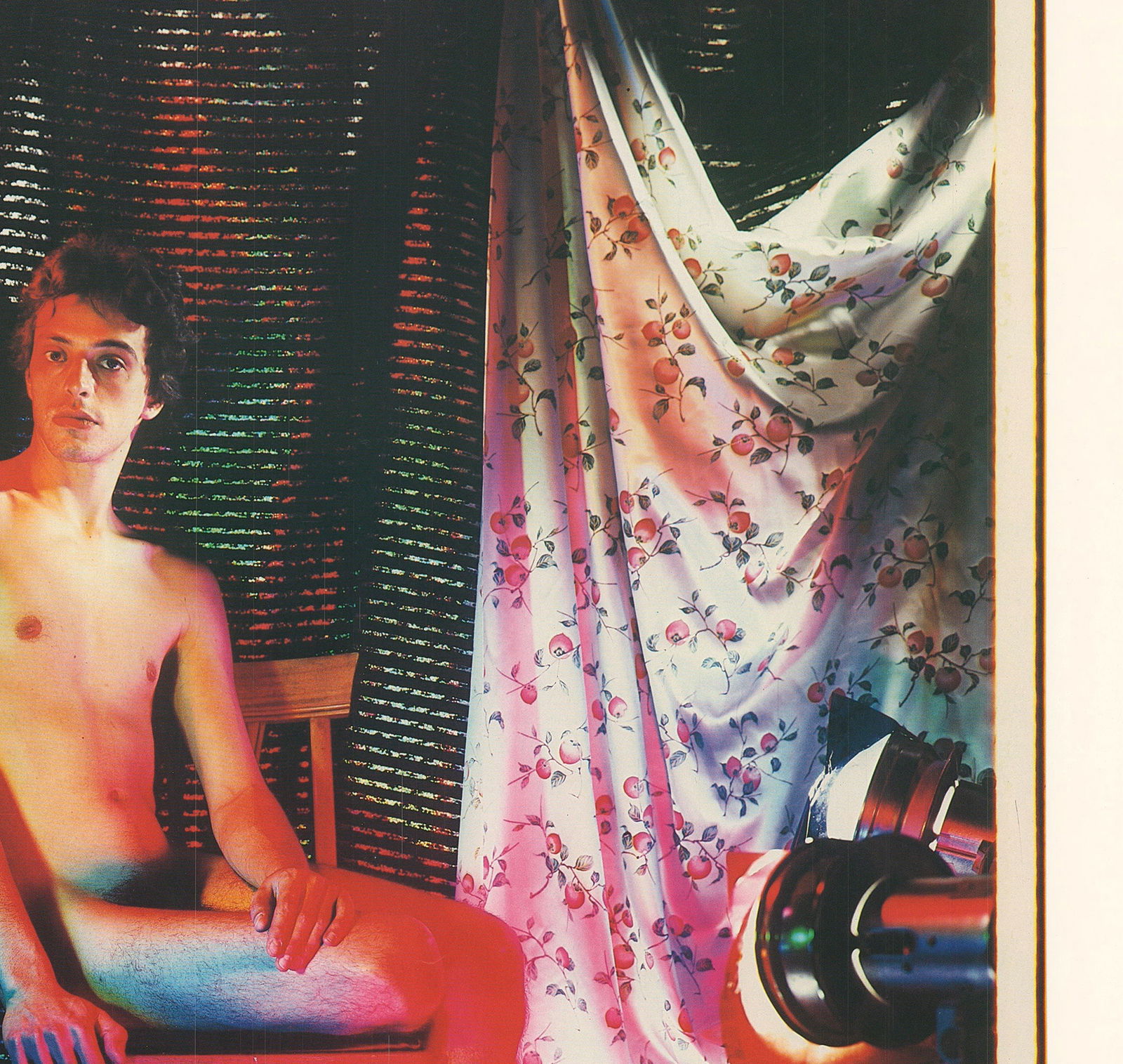 Lucas Samaras - Polaroid Photographs 1969-1983 - 1984 Offset Lithograph 33" x 23.25" - 4