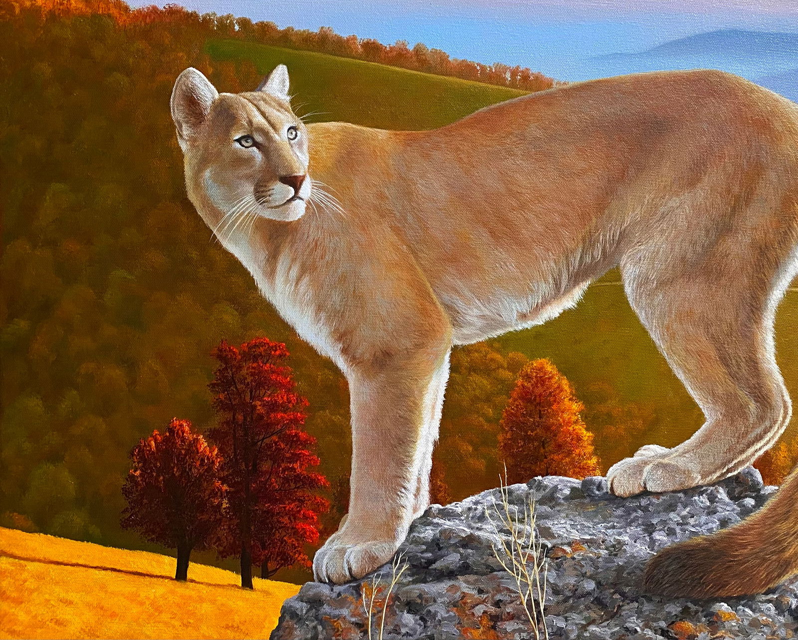 Oil painting Puma in the wild Kateryna Bukuros - 4