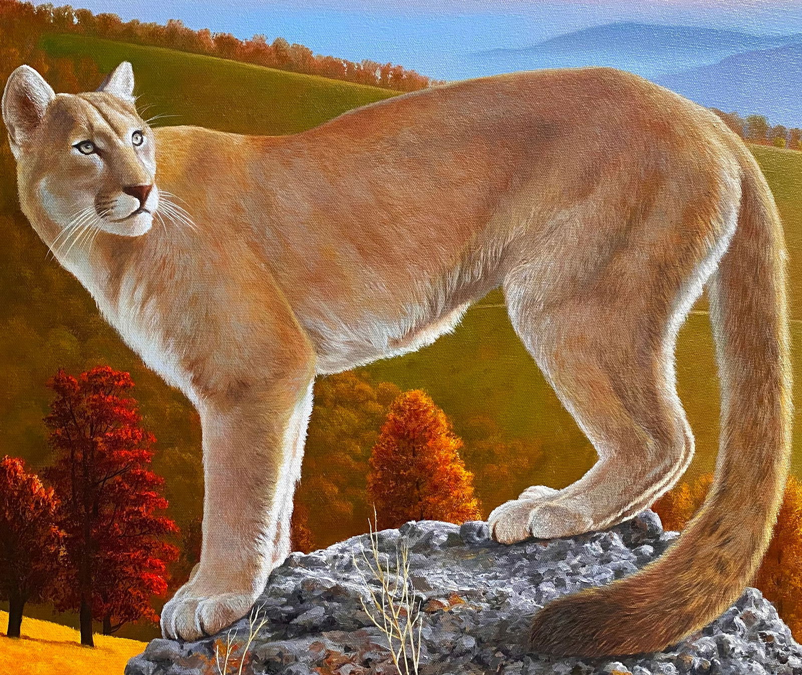Oil painting Puma in the wild Kateryna Bukuros - 6