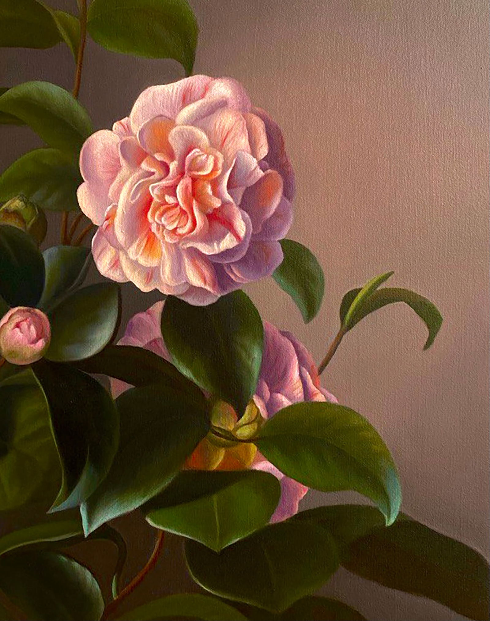 Oil painting Camellia flower Kateryna Bukuros - 5