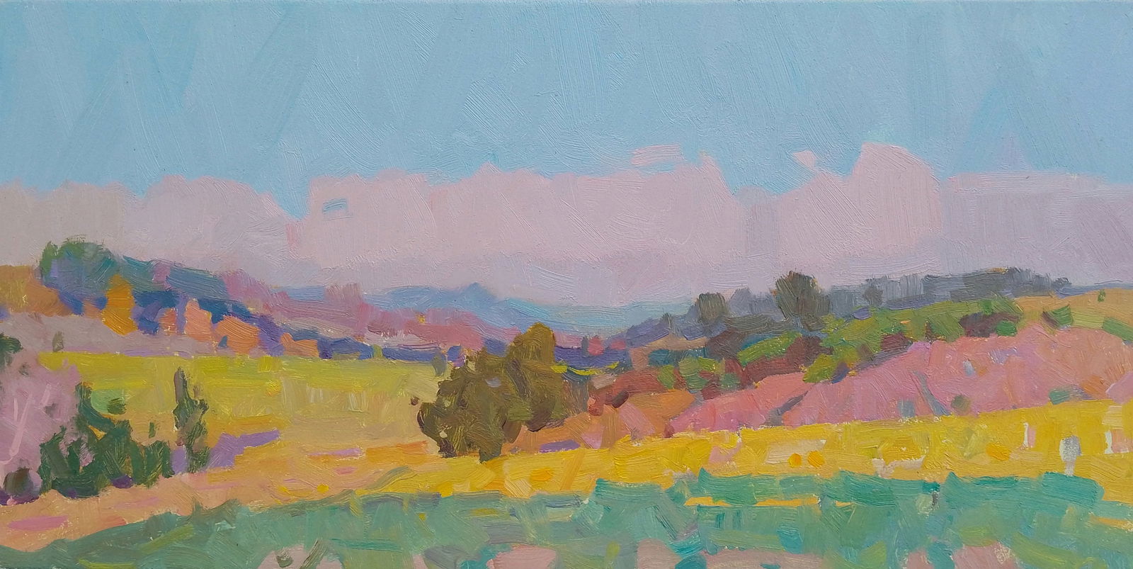 Oil painting Beautiful view of fields and forests Igor Tuzhikov: Title: Oil painting Beautiful view of fields and forests Igor Tuzhikov Description: 2TUZHIK Painter: Igor Tuzhikov Size: 20x40 cm/7.87x15.74 inches Components: oil, cardboard Original painting