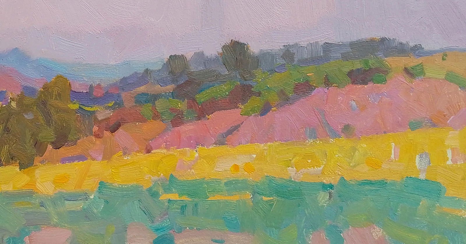 Oil painting Beautiful view of fields and forests Igor Tuzhikov - 2