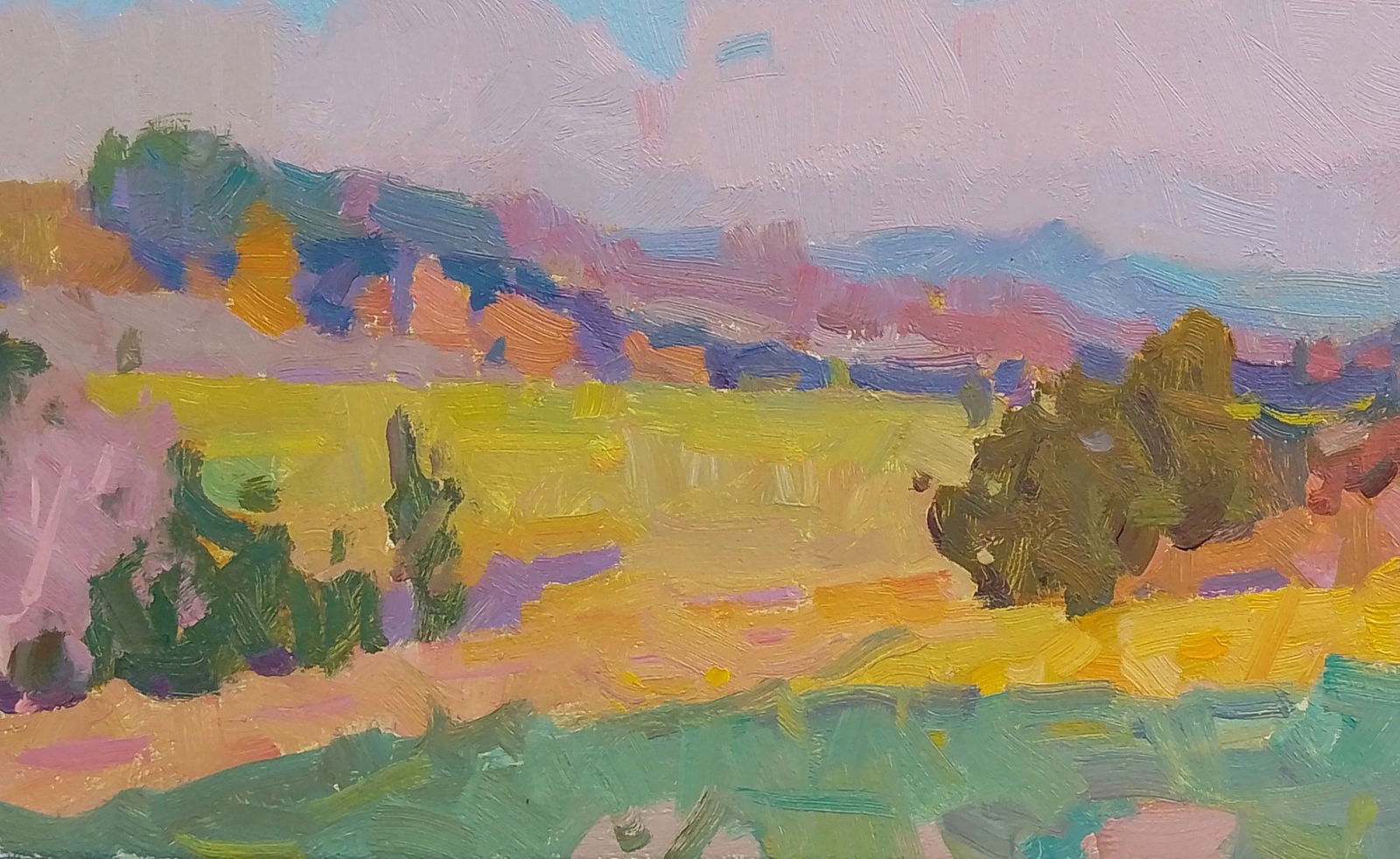 Oil painting Beautiful view of fields and forests Igor Tuzhikov - 3