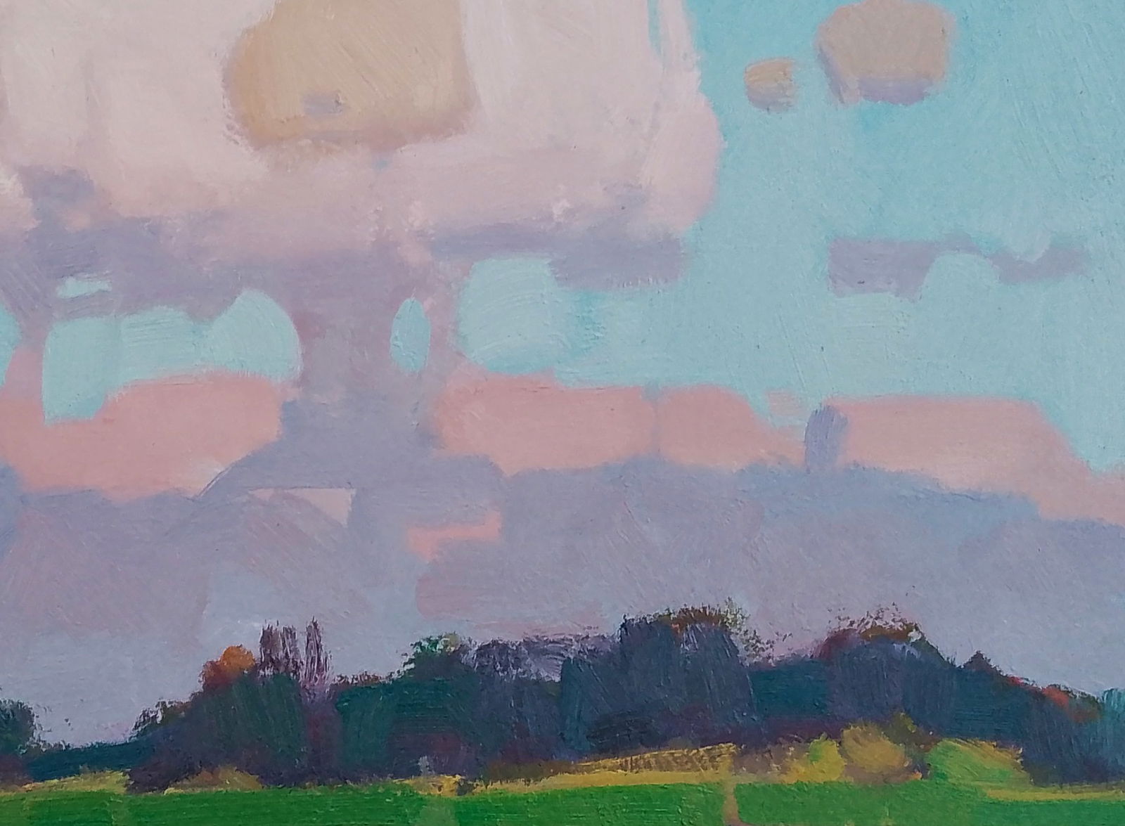 Oil painting Cloudy fresh air Igor Tuzhikov - 2