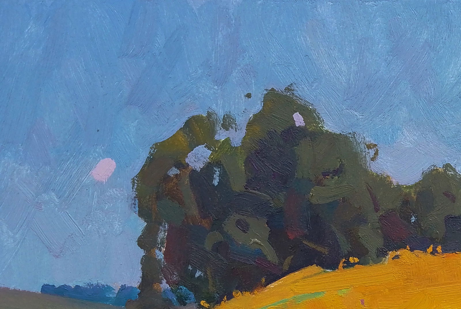 Oil painting Sunflower field Igor Tuzhikov - 4