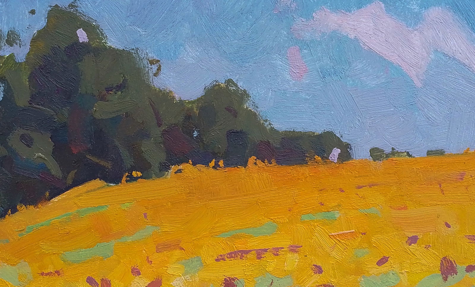 Oil painting Sunflower field Igor Tuzhikov - 6