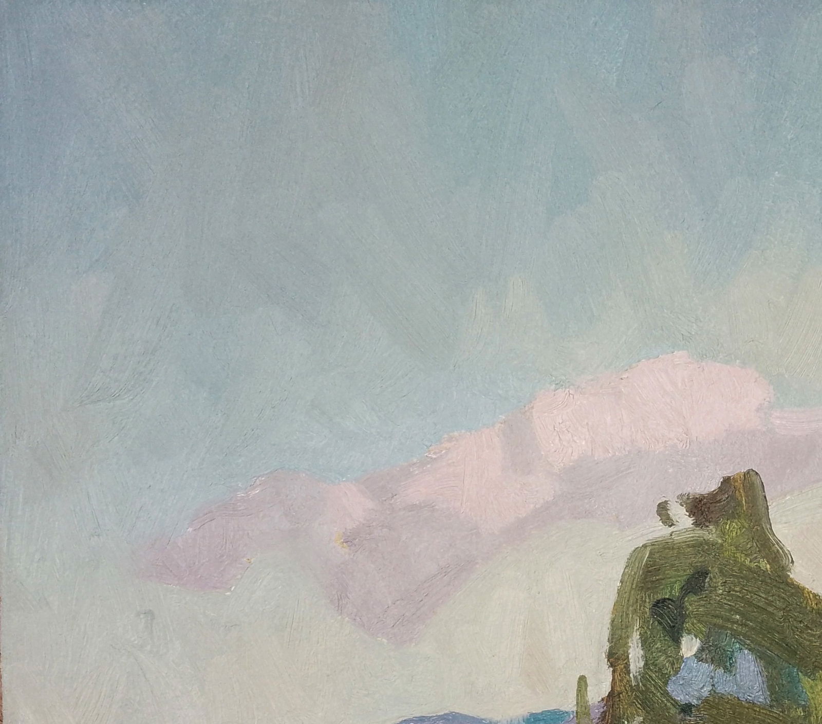 Oil painting Fresh air in the mountains Igor Tuzhikov - 4