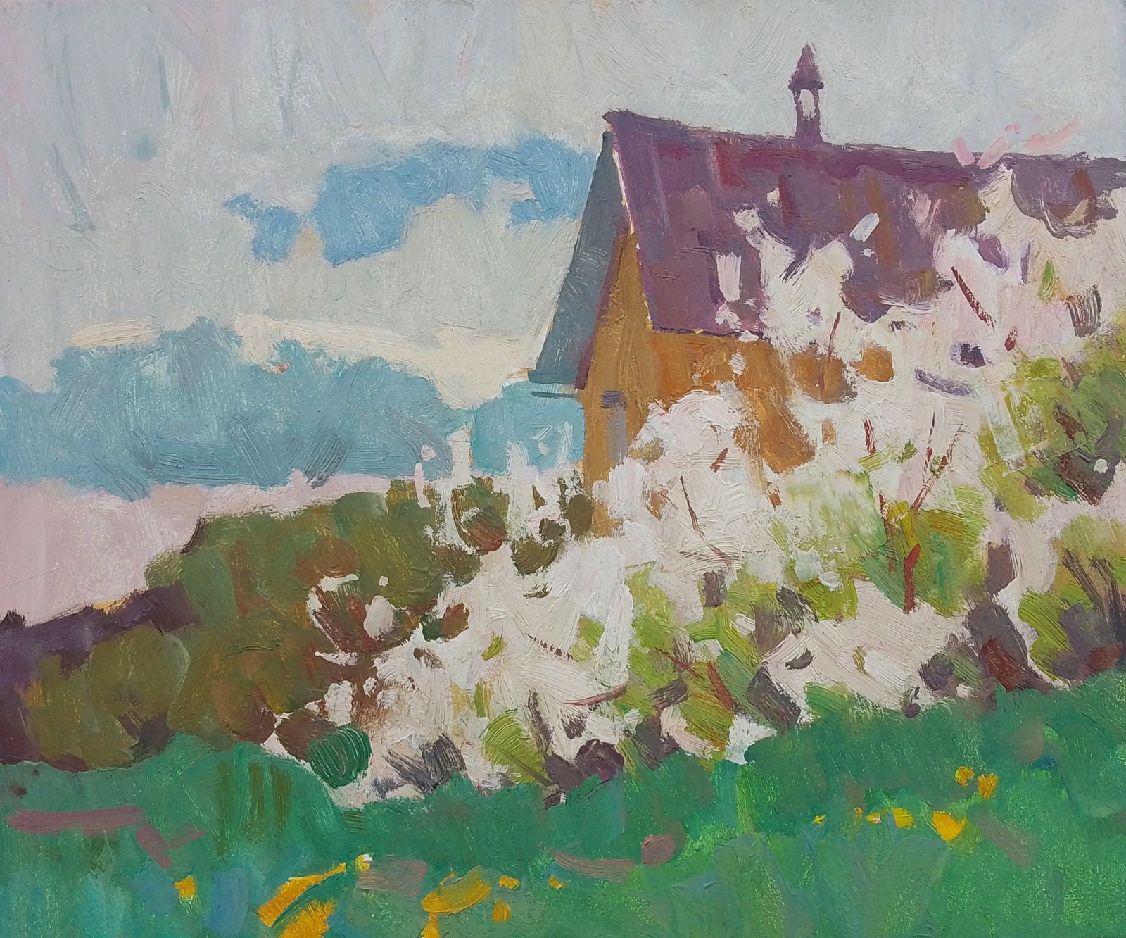 Oil painting May village day Igor Tuzhikov: Title: Oil painting May village day Igor Tuzhikov Description: 21TUZHIK Painter: Igor Tuzhikov Size: 25x30 cm/9.84x11.81 inches Components: oil, cardboard Original painting CONDITION: excellent